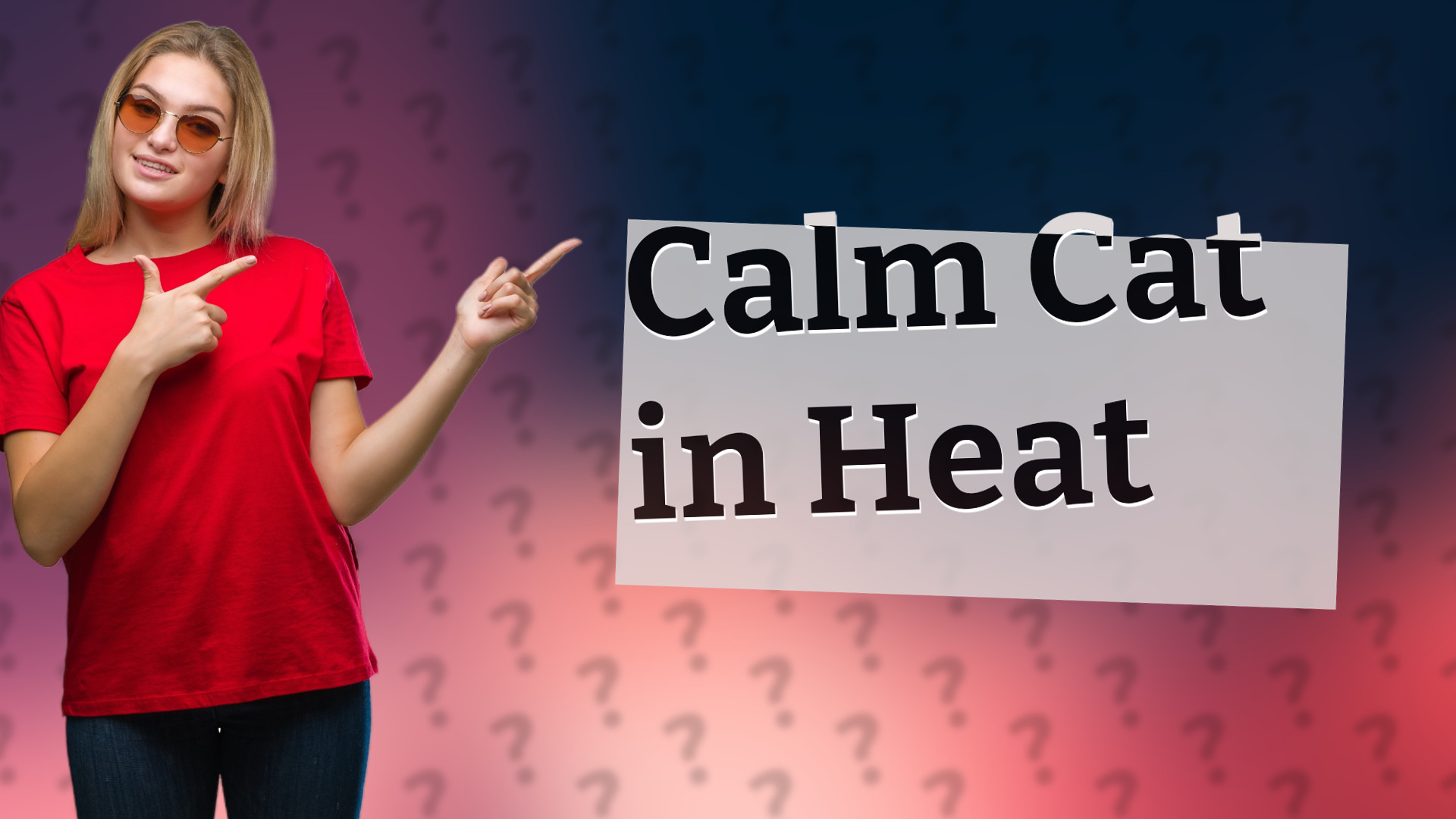 Calm Cat in Heat