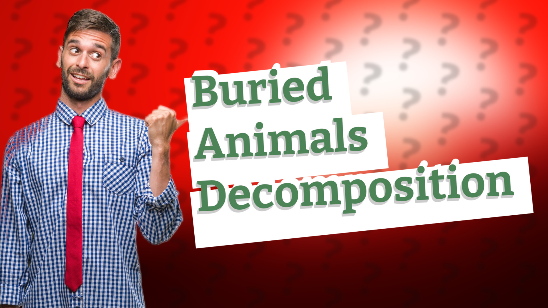 Buried Animals Decomposition
