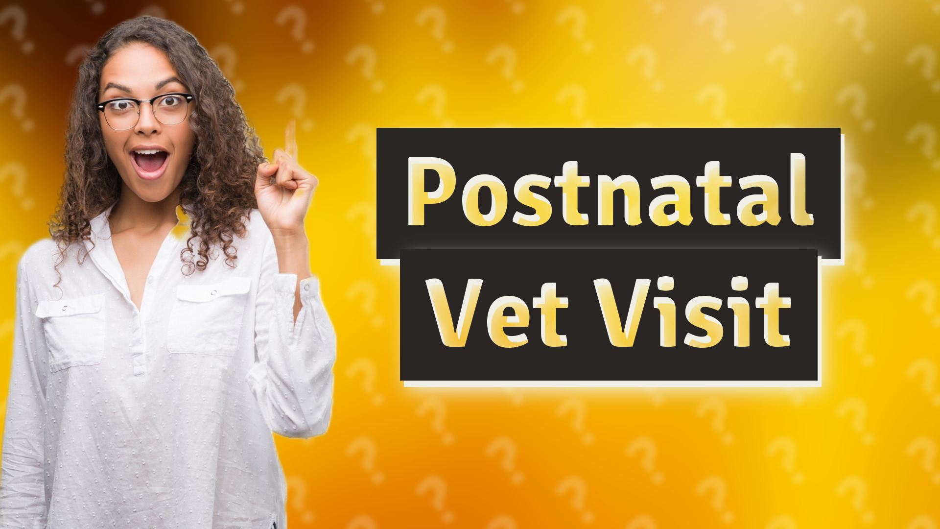 Postnatal Vet Visit
