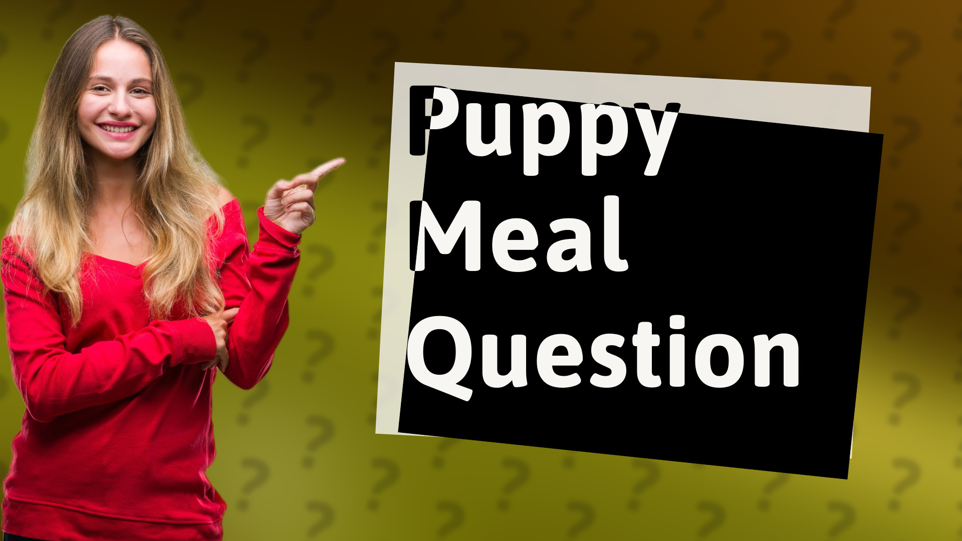 Puppy Meal Question