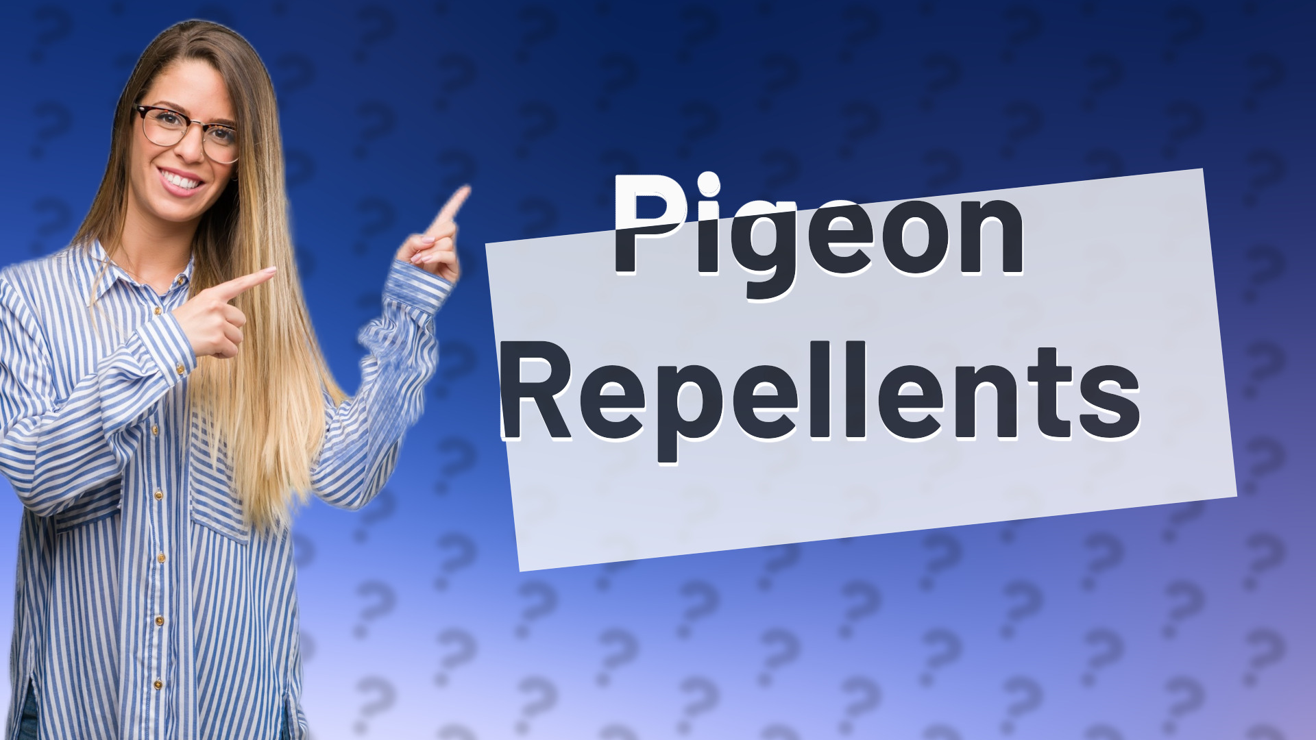 Pigeon Repellents