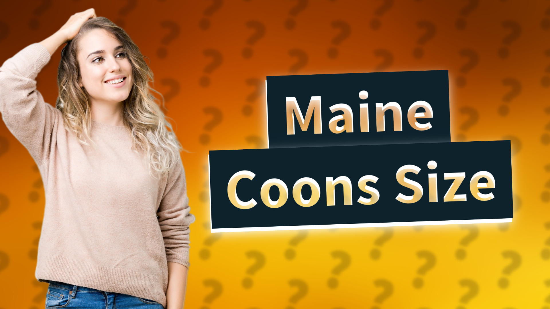 Maine Coons Size