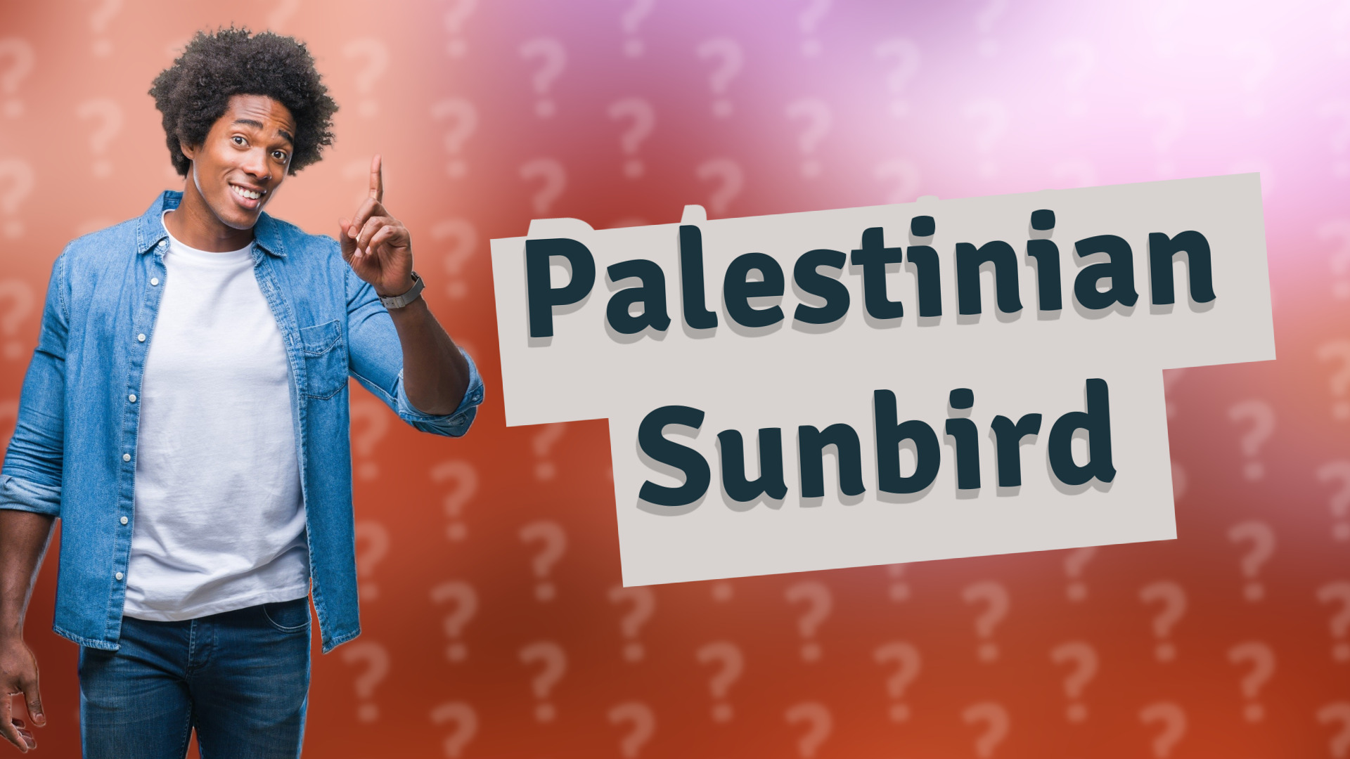 Palestinian Sunbird
