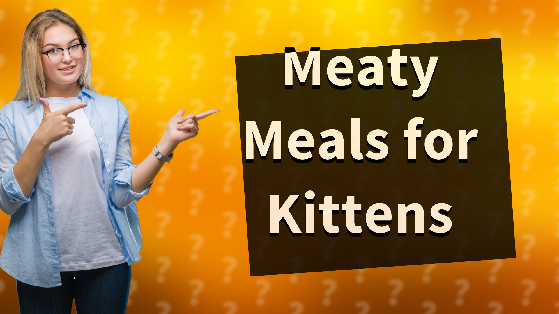 Meaty Meals for Kittens