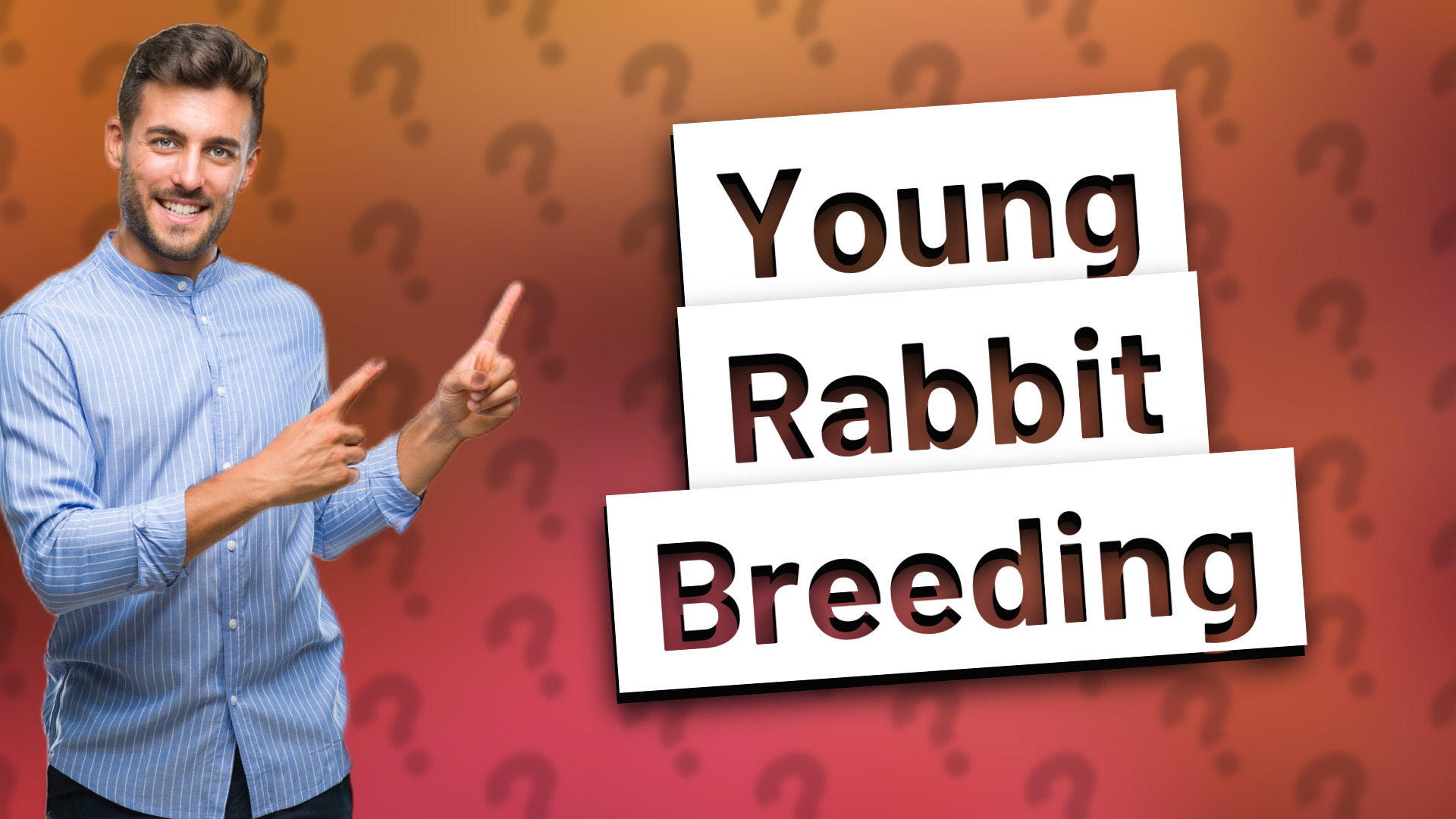 Young Rabbit Breeding
