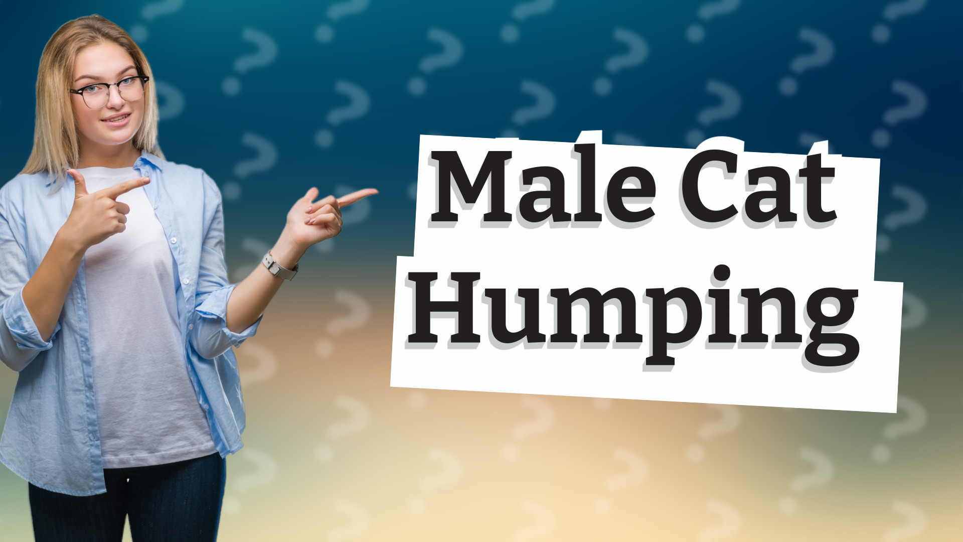 Male Cat Humping