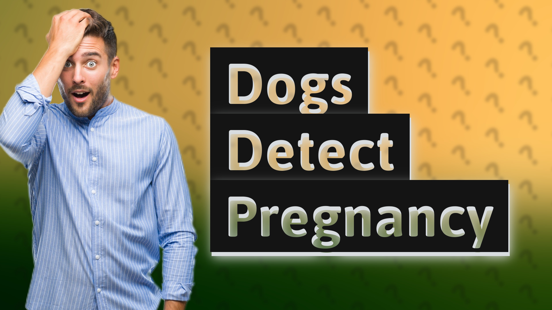 Dogs Detect Pregnancy