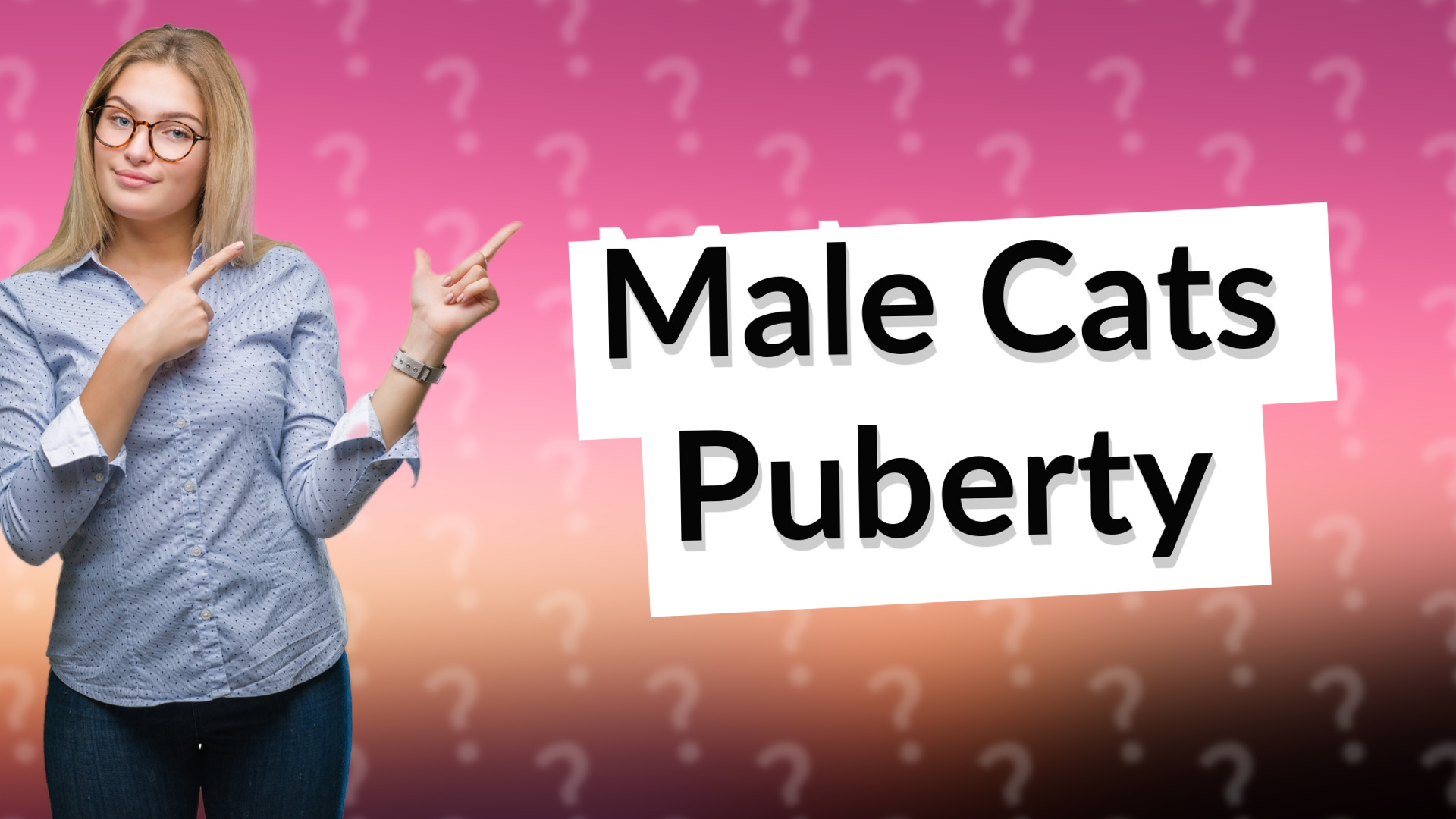 Male Cats Puberty
