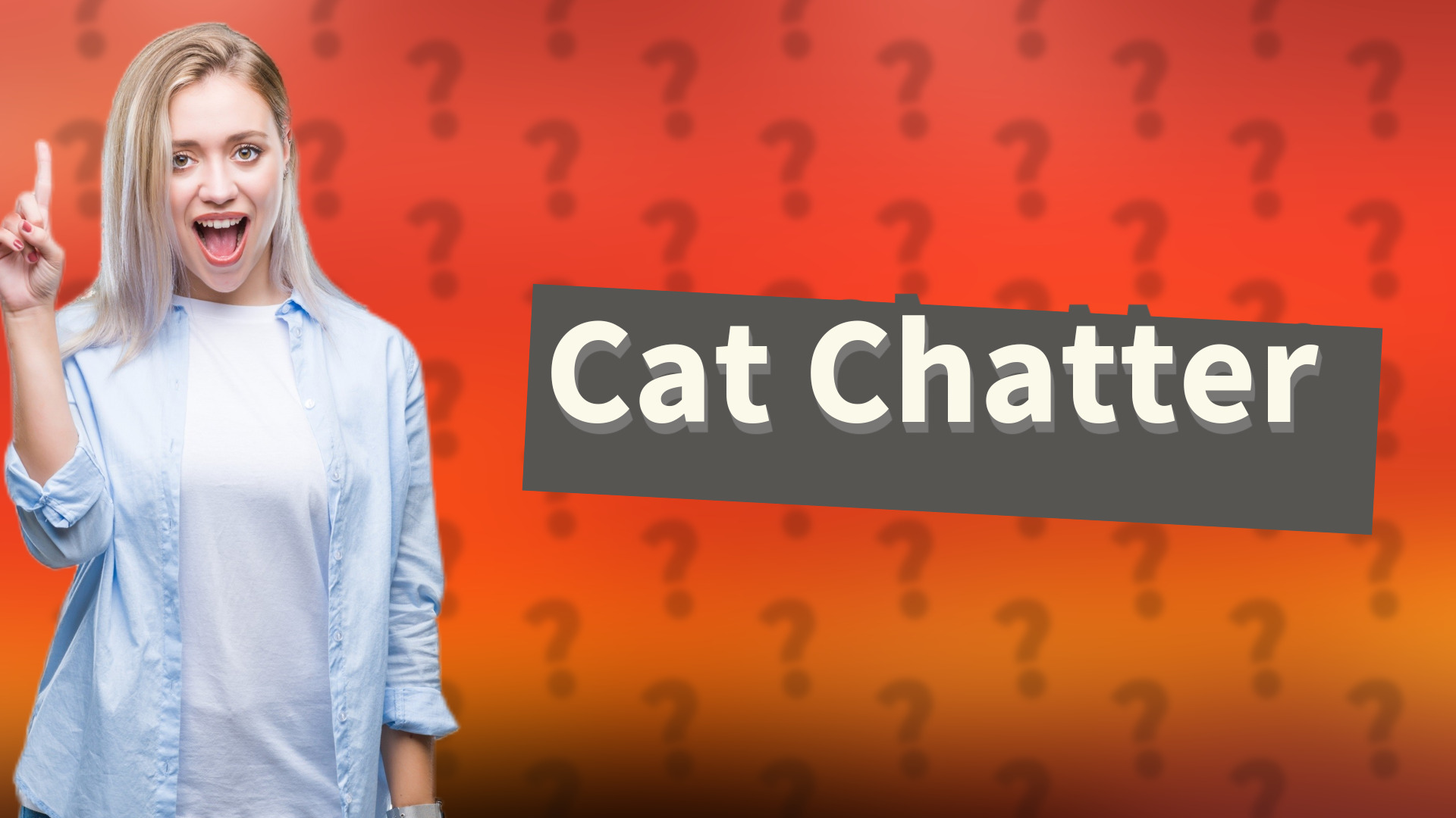 Cat Chatter