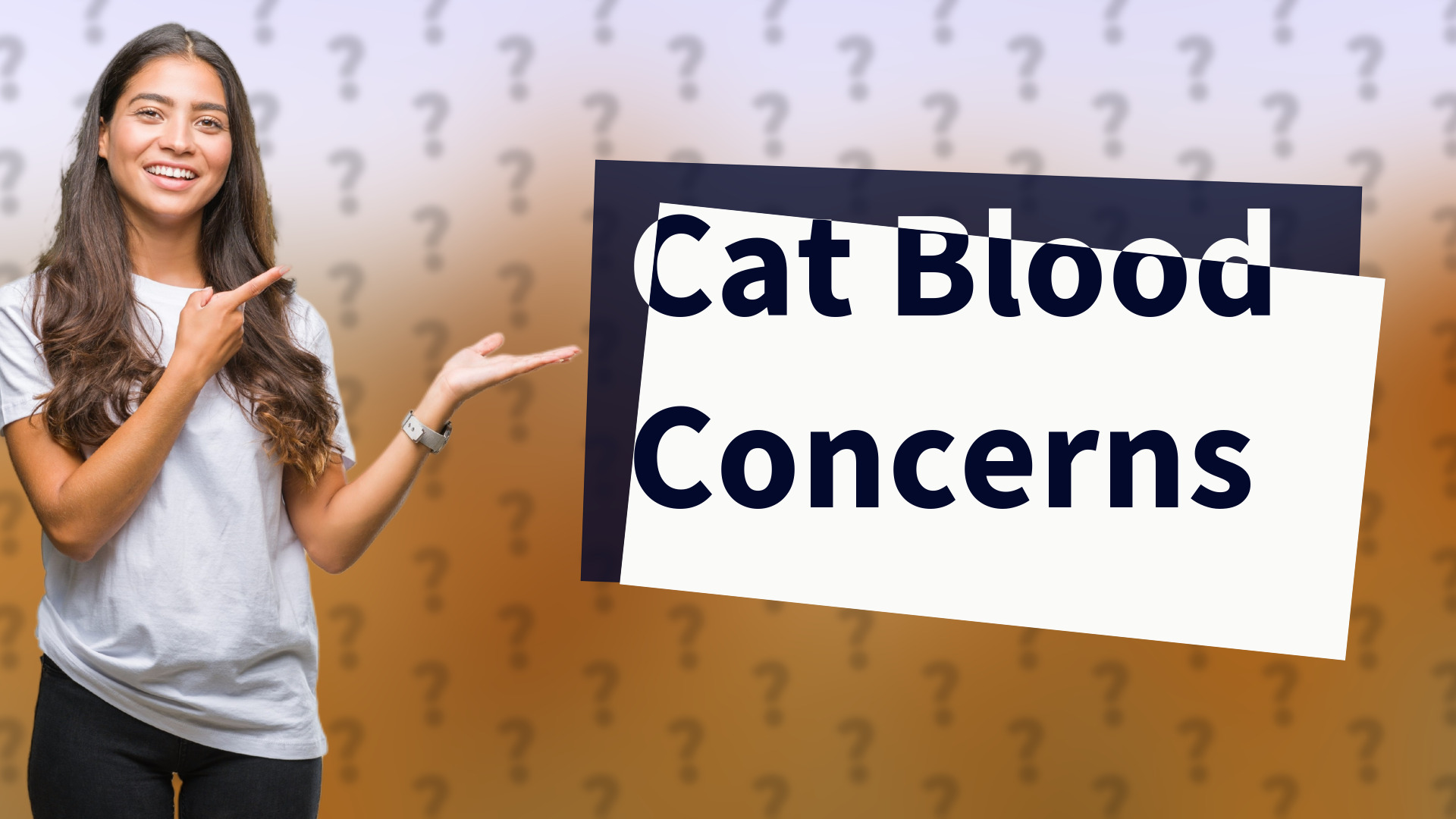 Cat Blood Concerns