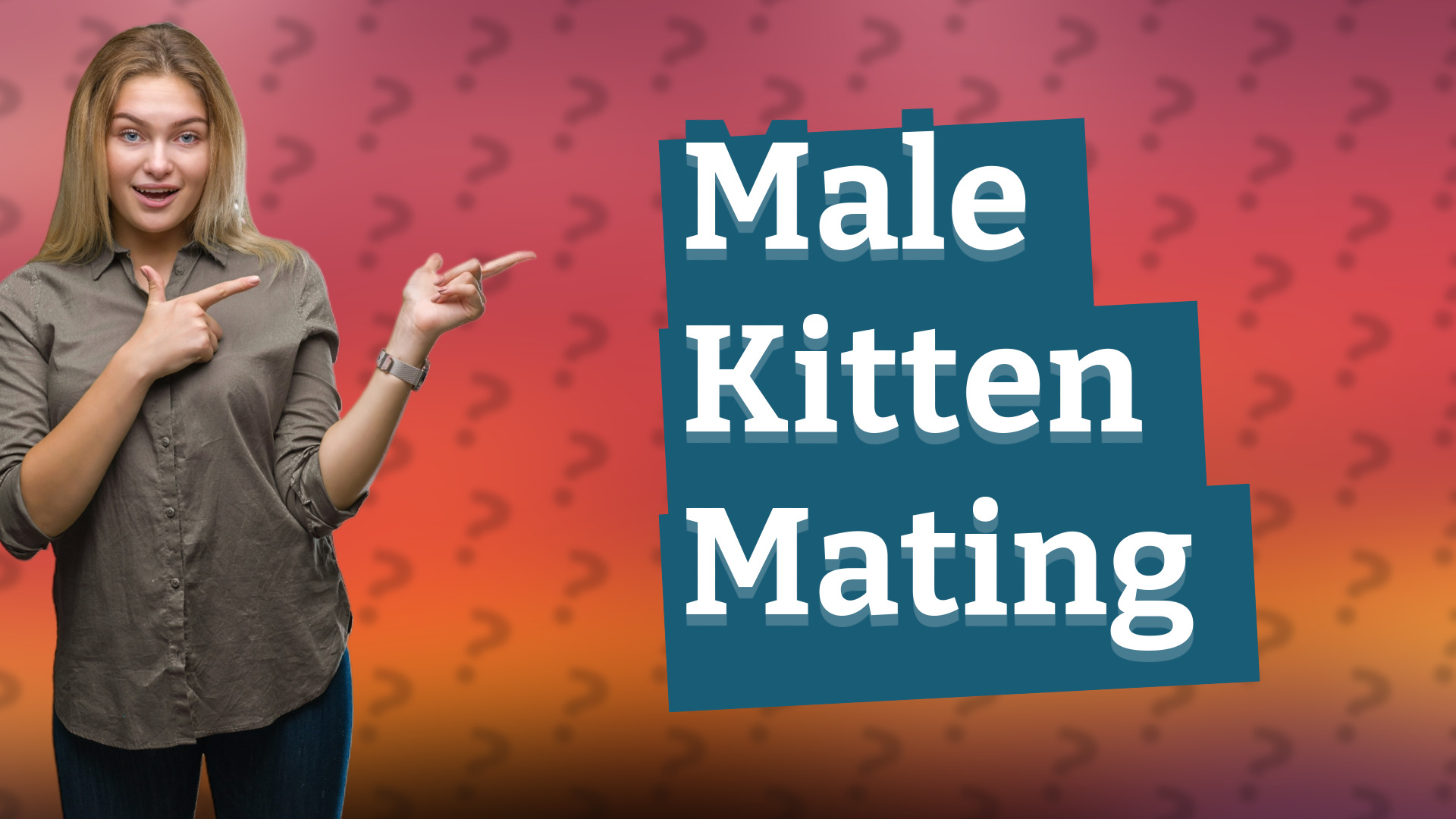 Male Kitten Mating