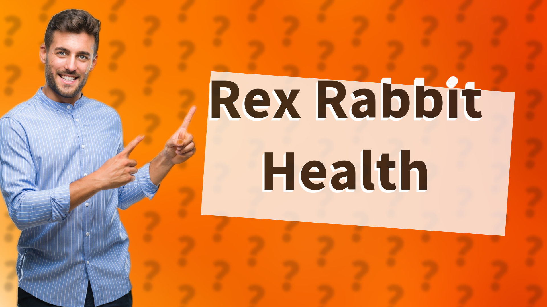 Rex Rabbit Health
