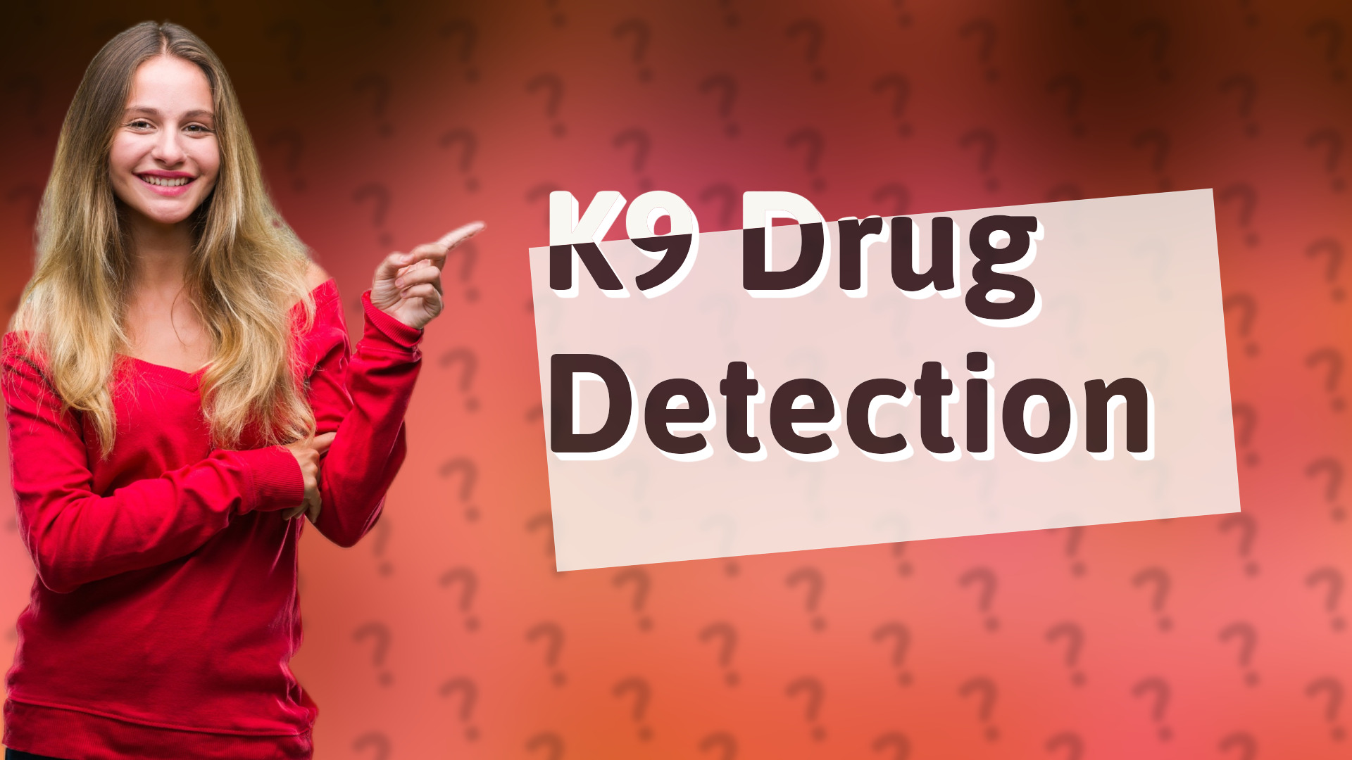 K9 Drug Detection
