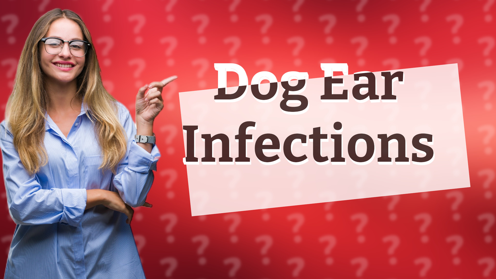 Dog Ear Infections