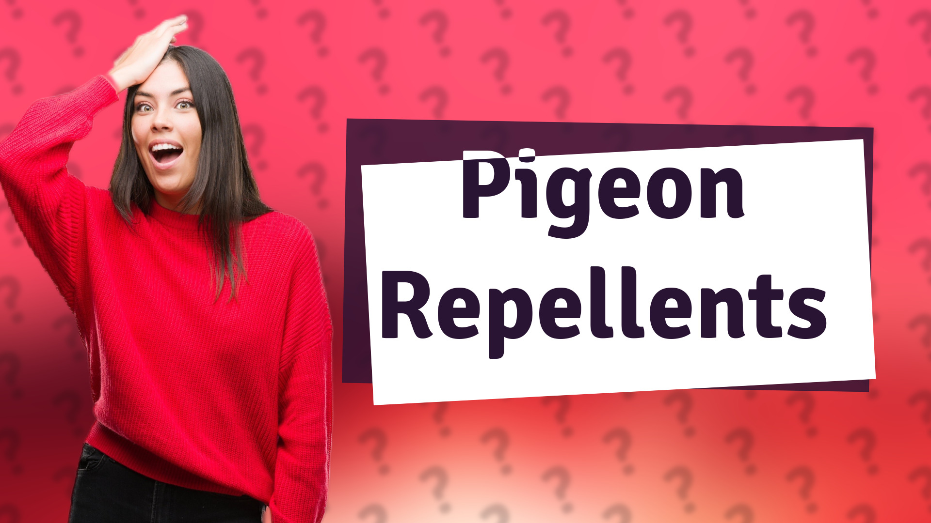Pigeon Repellents