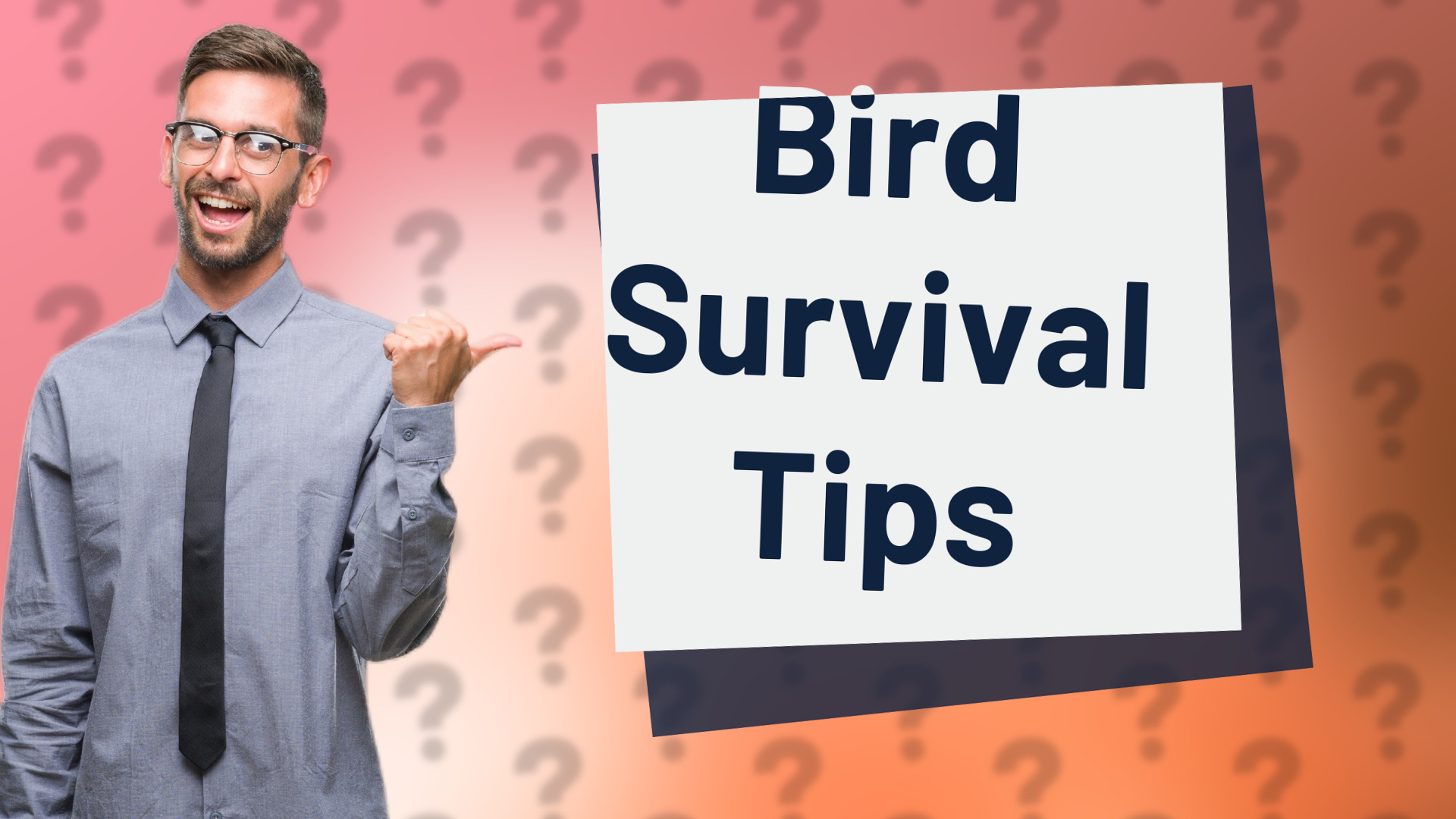 Bird Survival Tips