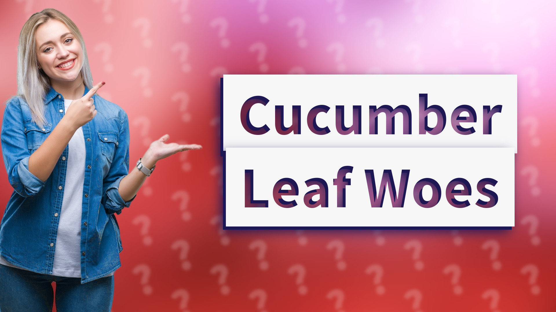 Cucumber Leaf Woes