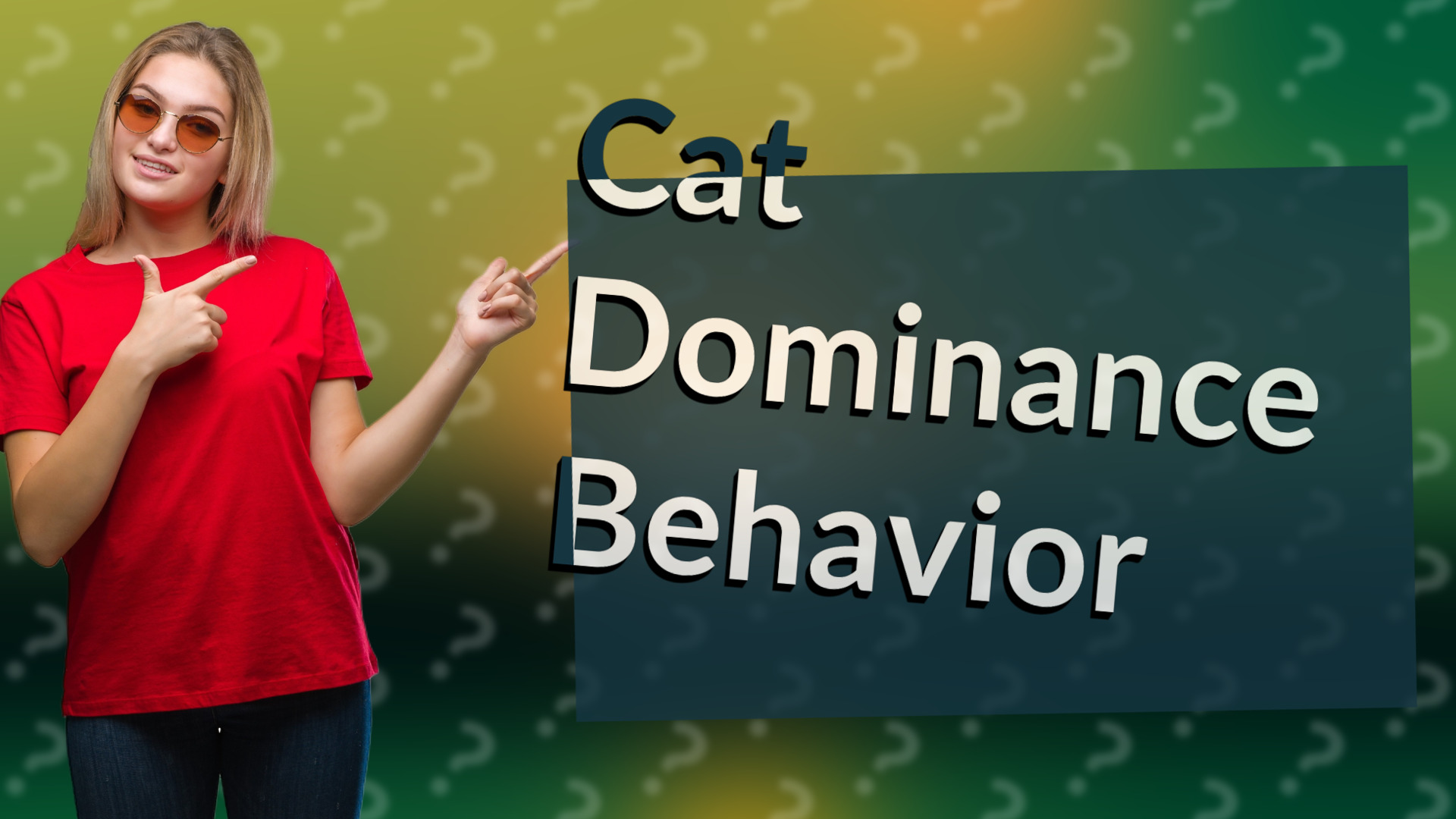 Cat Dominance Behavior