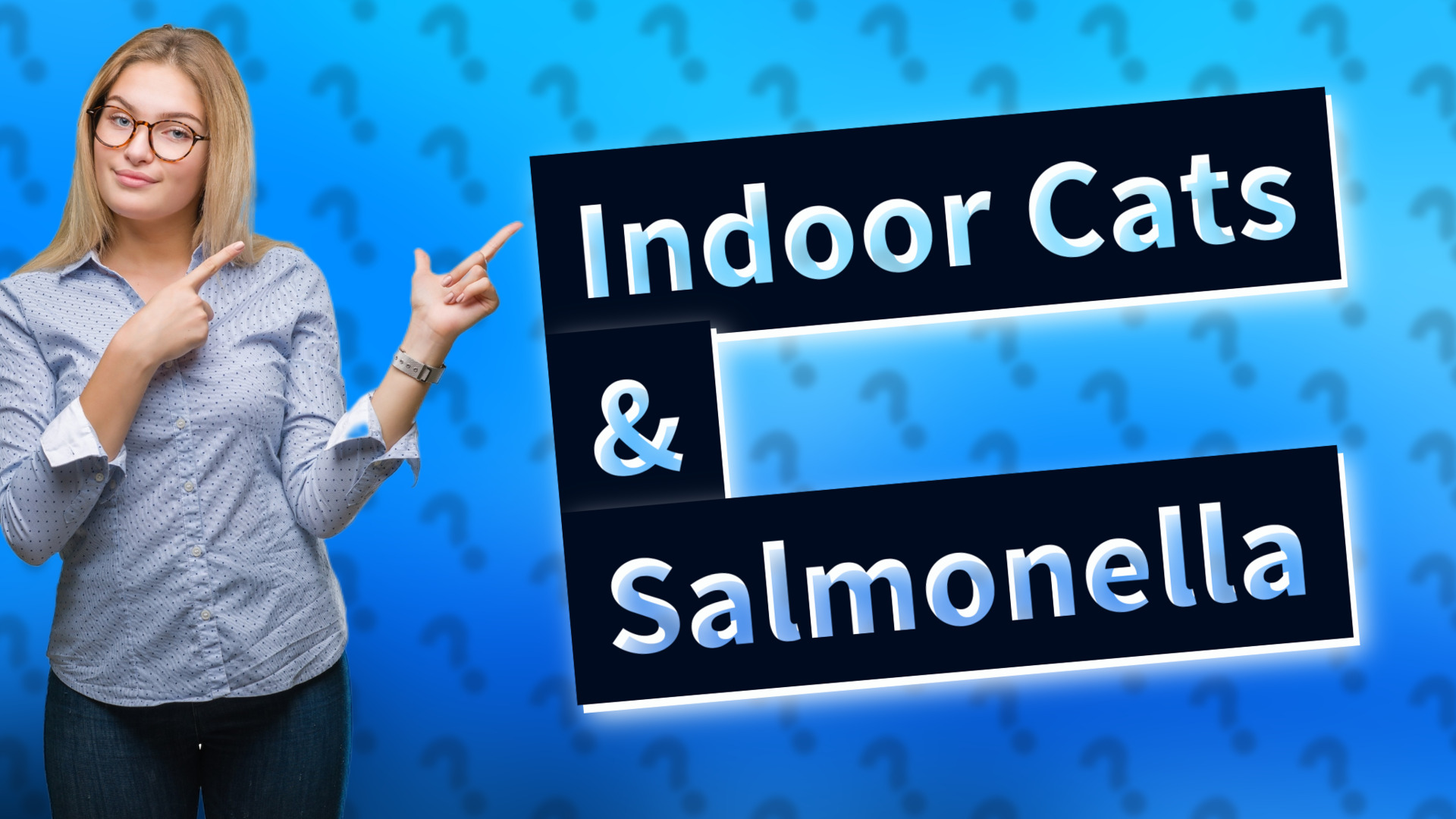 Indoor Cats & Salmonella