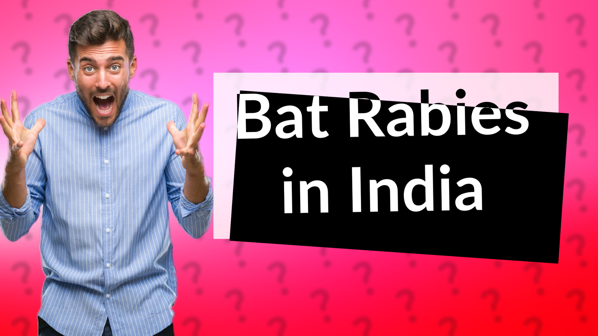 Bat Rabies in India