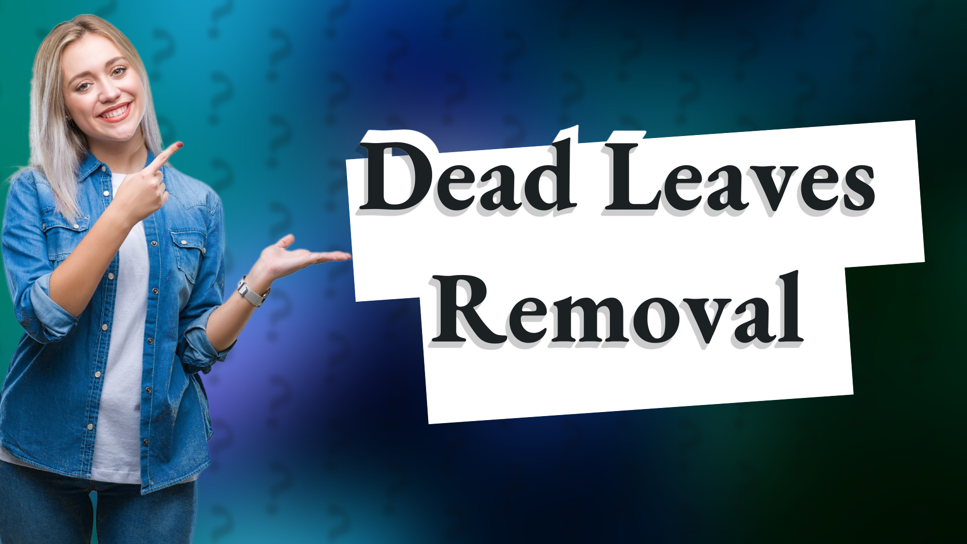 Dead Leaves Removal