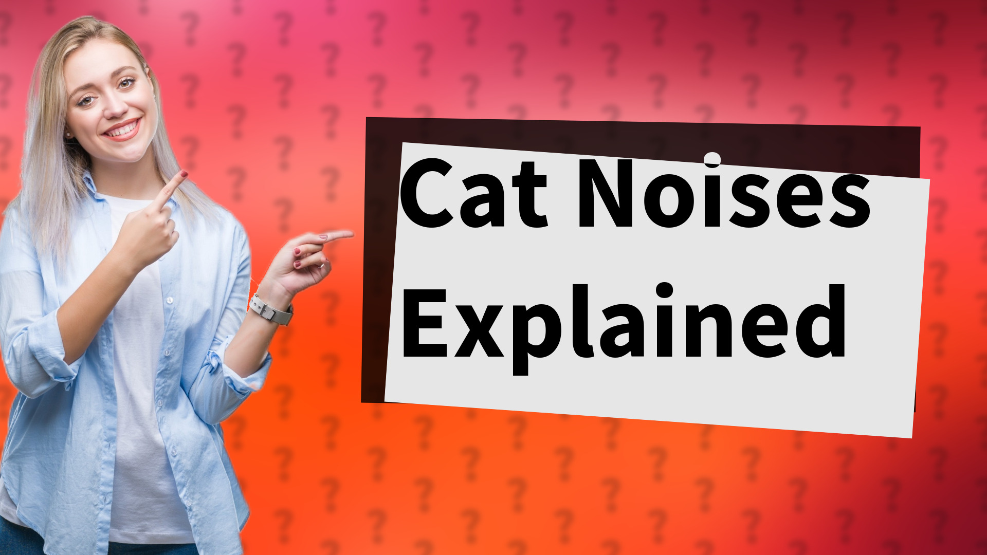 Cat Noises Explained
