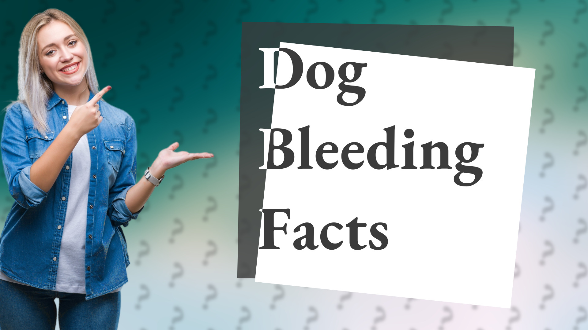 Dog Bleeding Facts