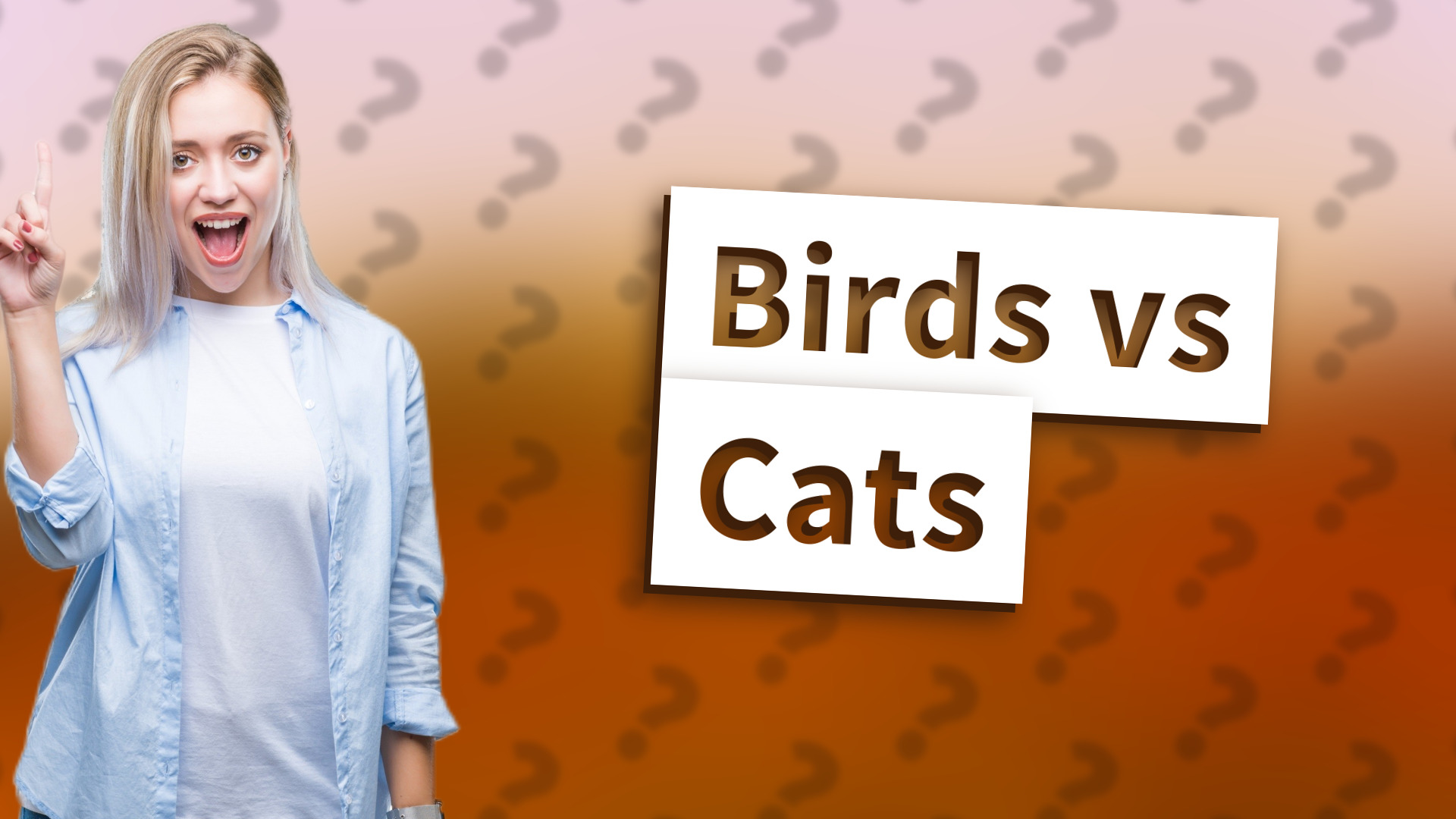 Birds vs Cats