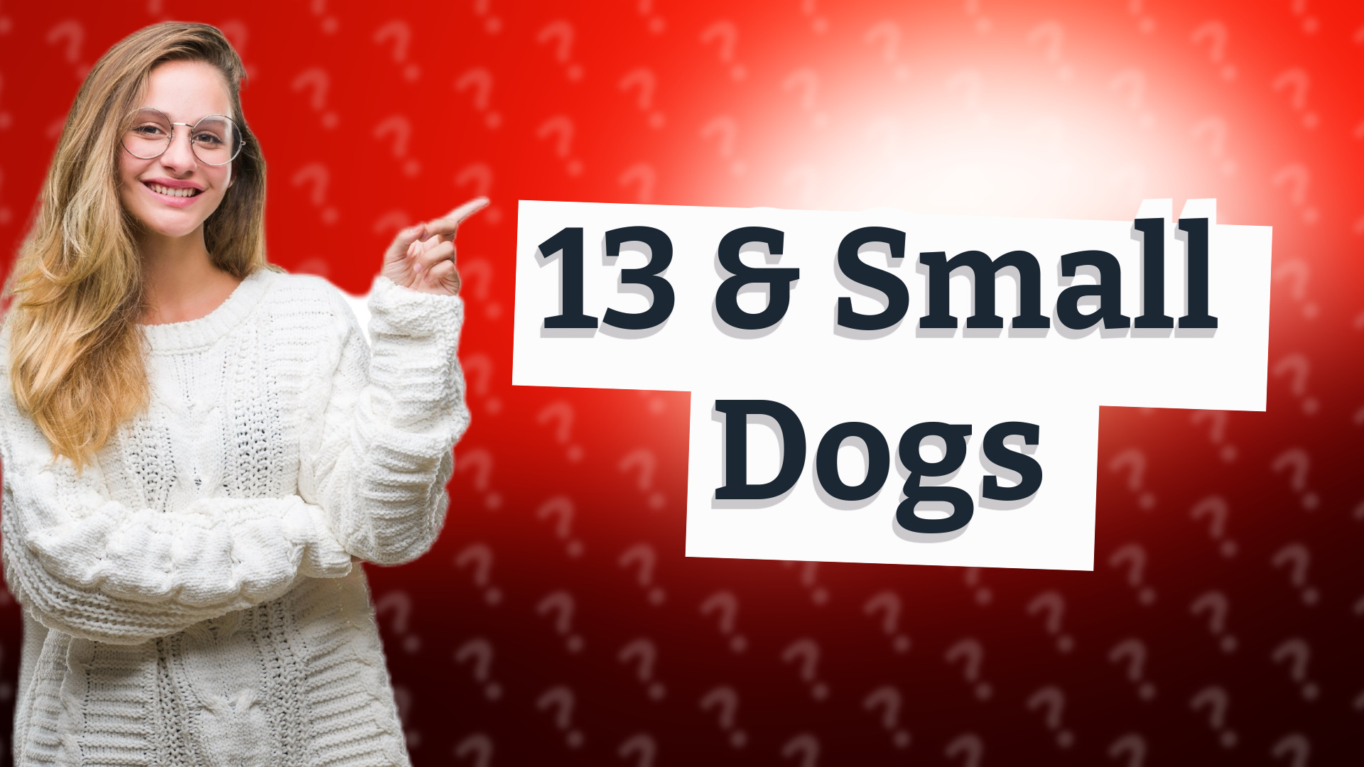 13 & Small Dogs
