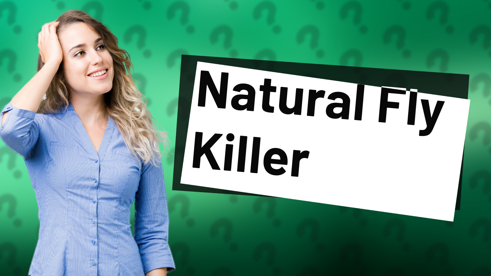 Natural Fly Killer