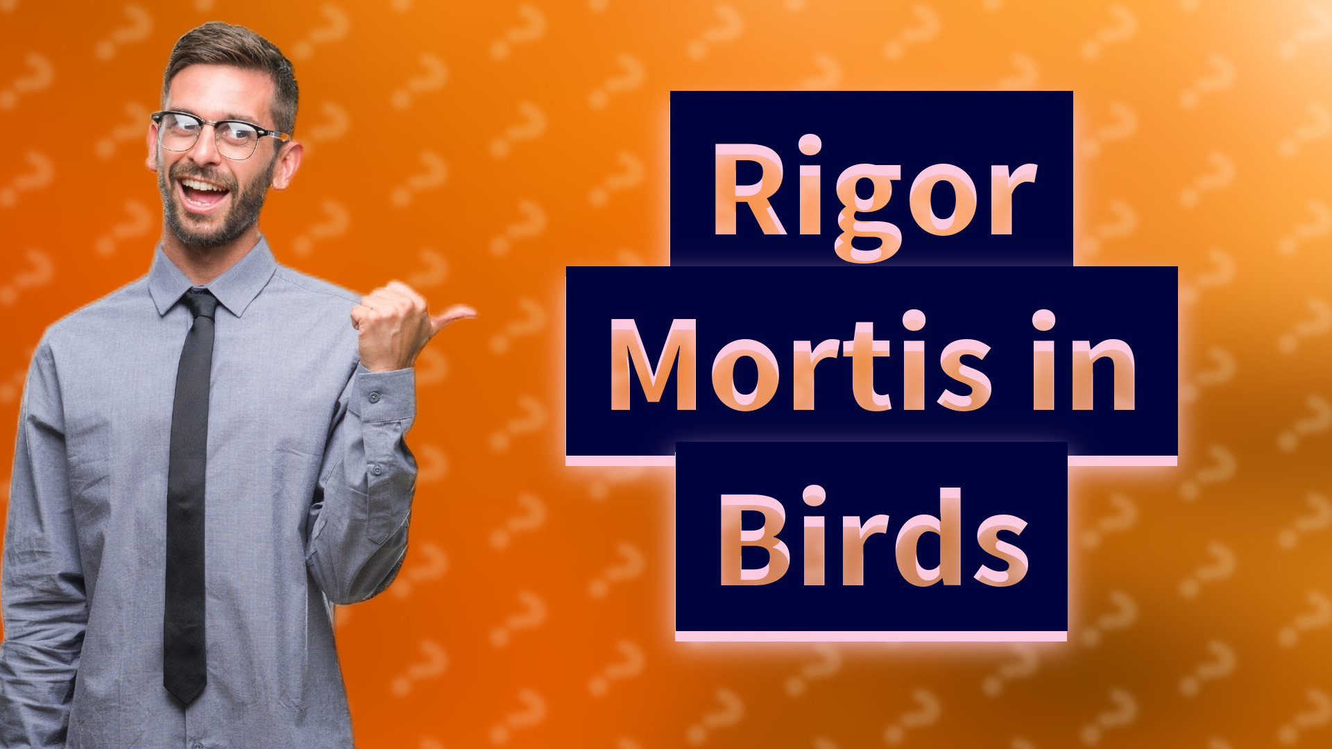 Rigor Mortis in Birds