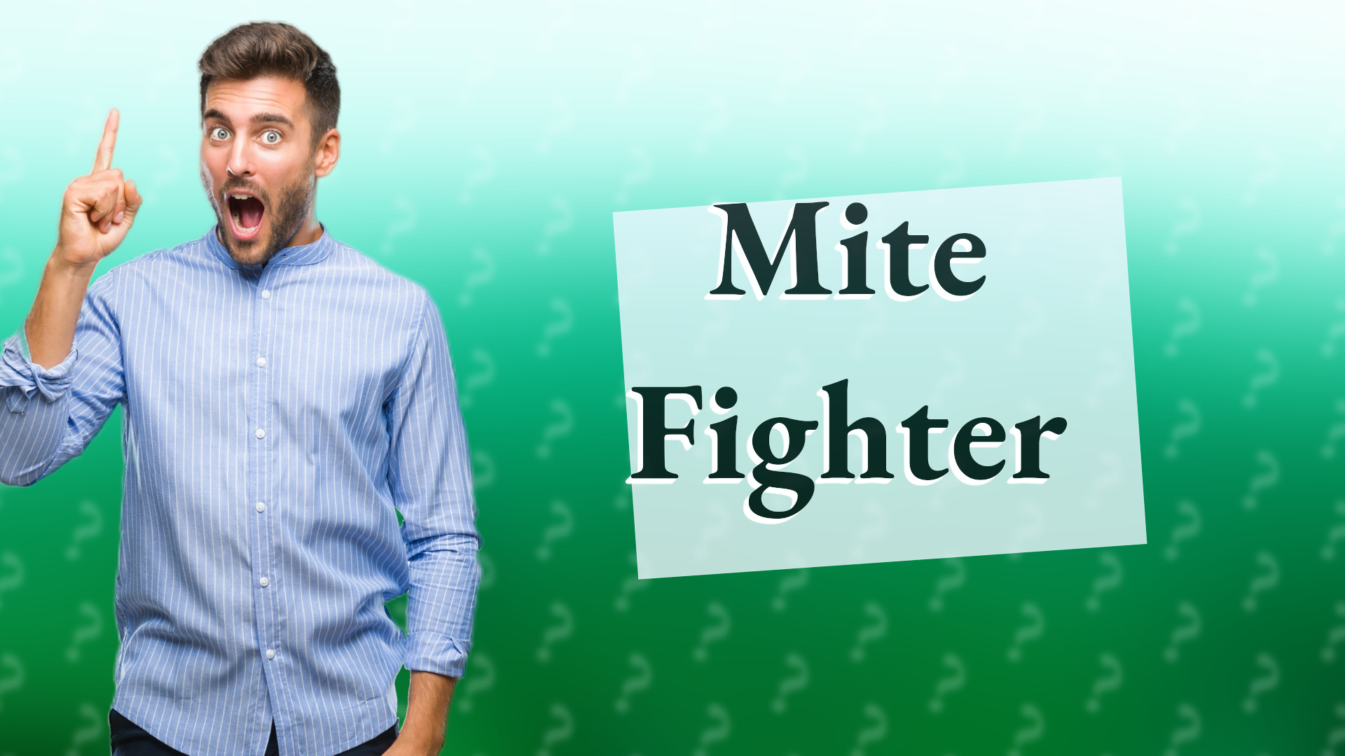 Mite Fighter