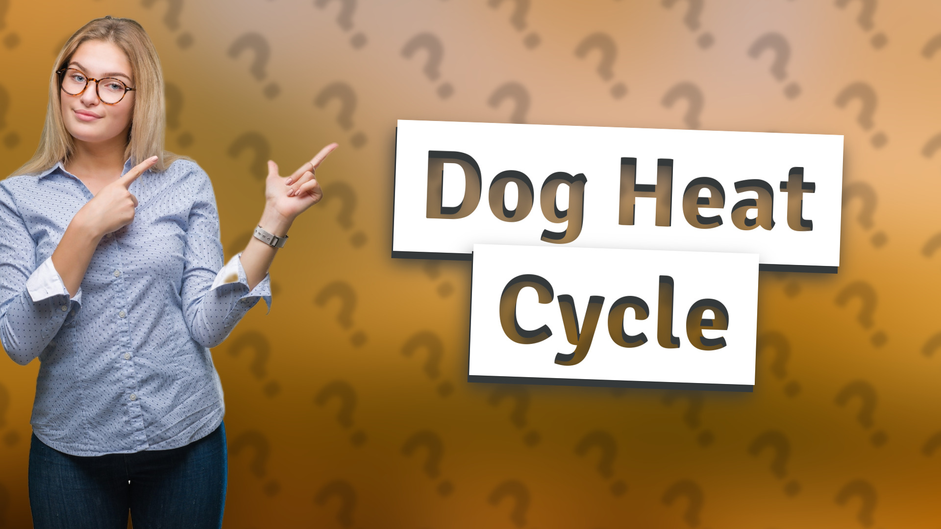 Dog Heat Cycle