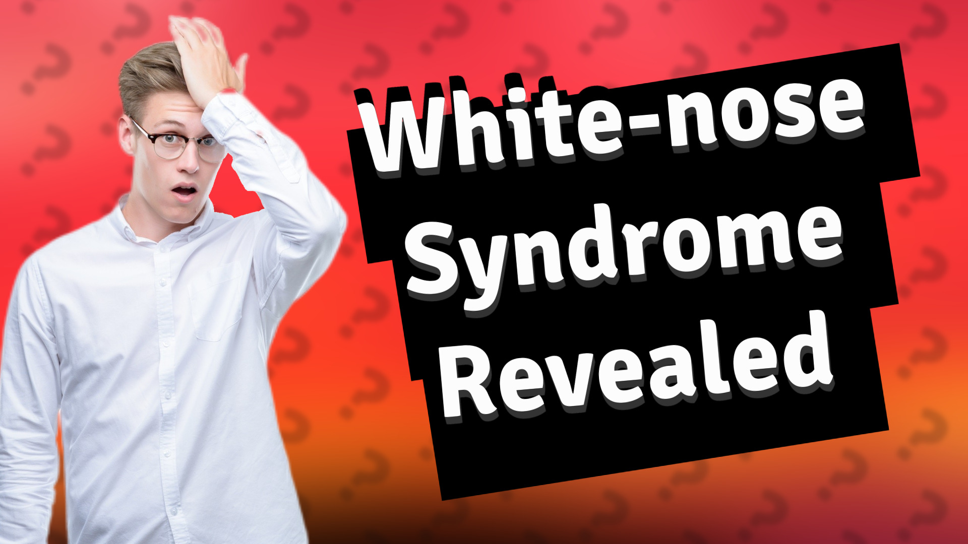 White-nose Syndrome Revealed