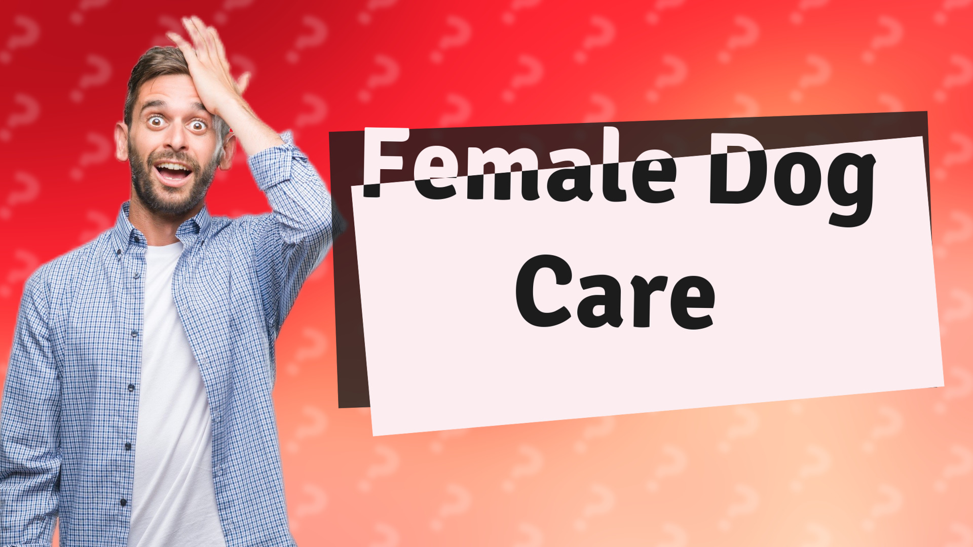 Female Dog Care