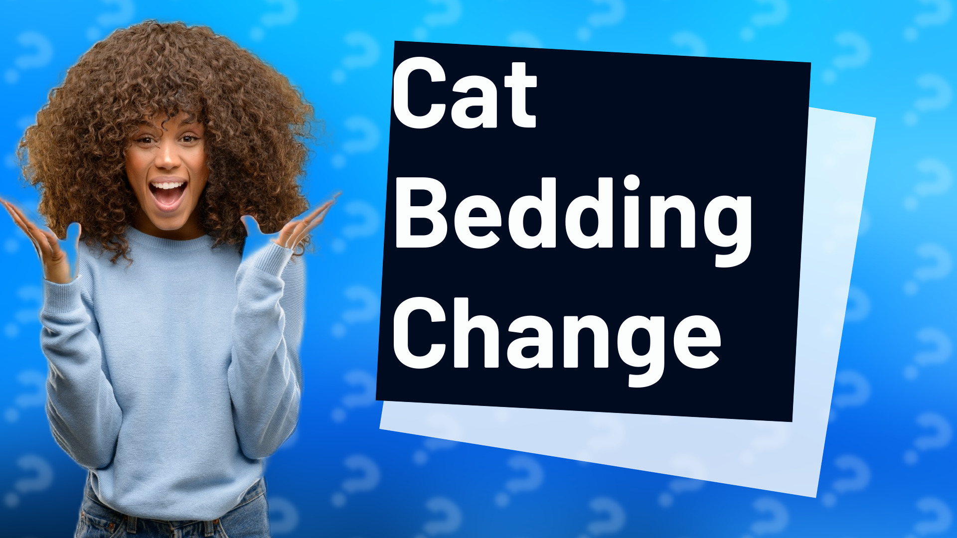 Cat Bedding Change