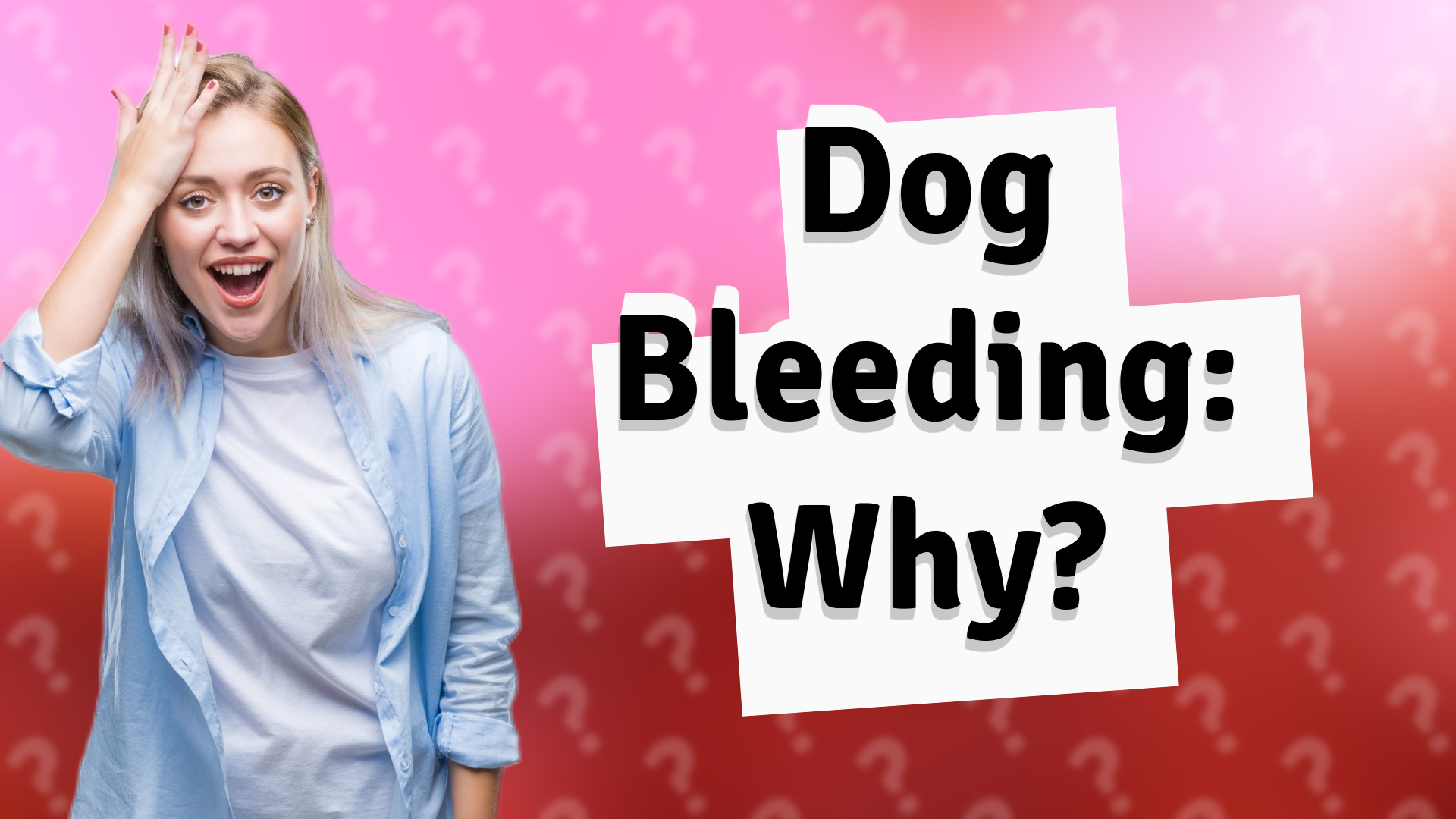 Dog Bleeding: Why?