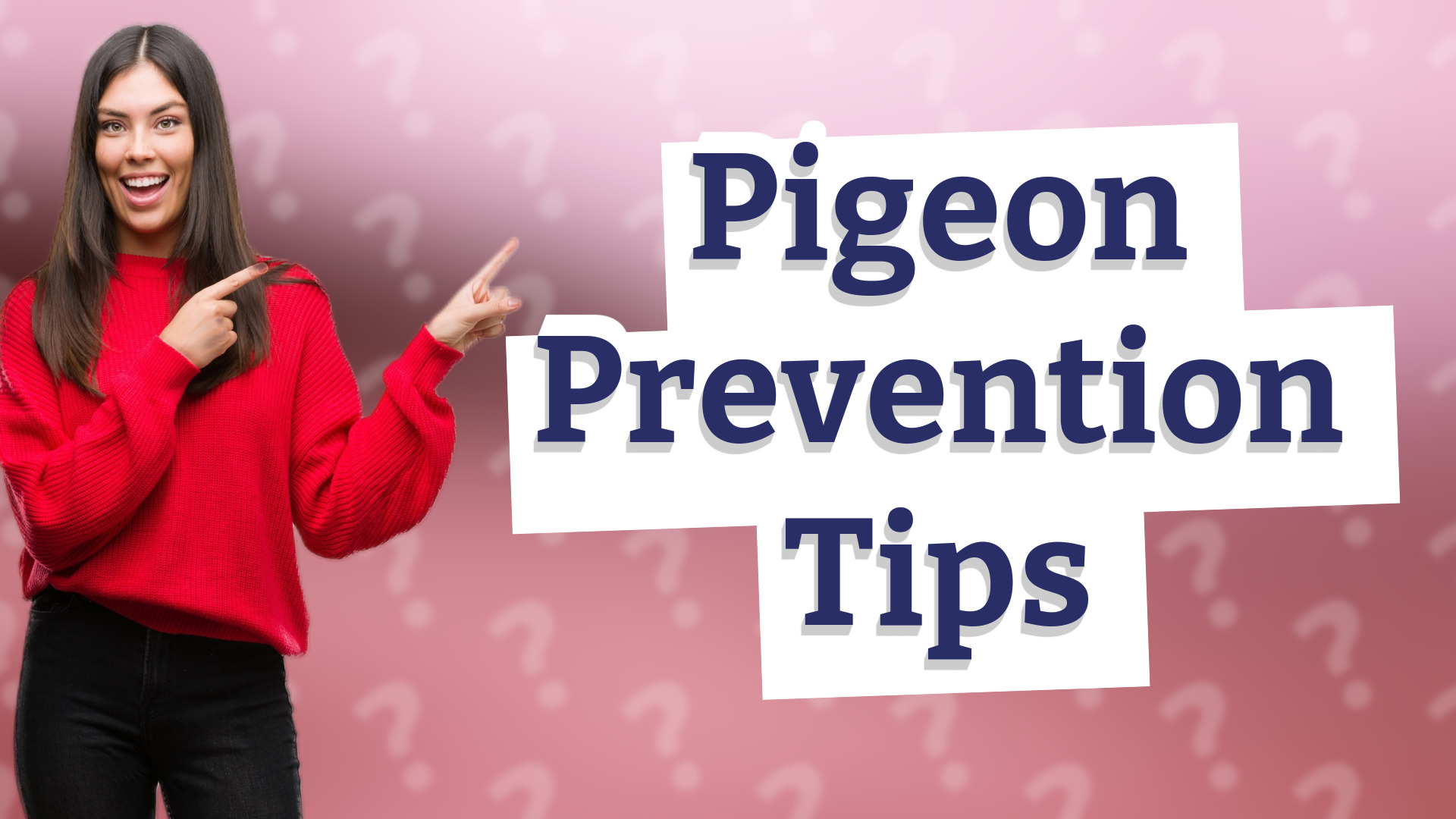 Pigeon Prevention Tips