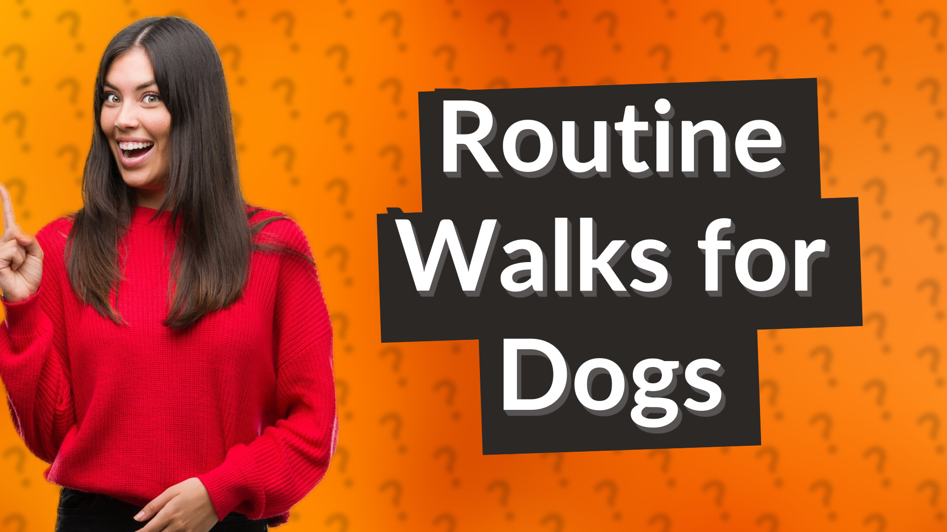 Routine Walks for Dogs