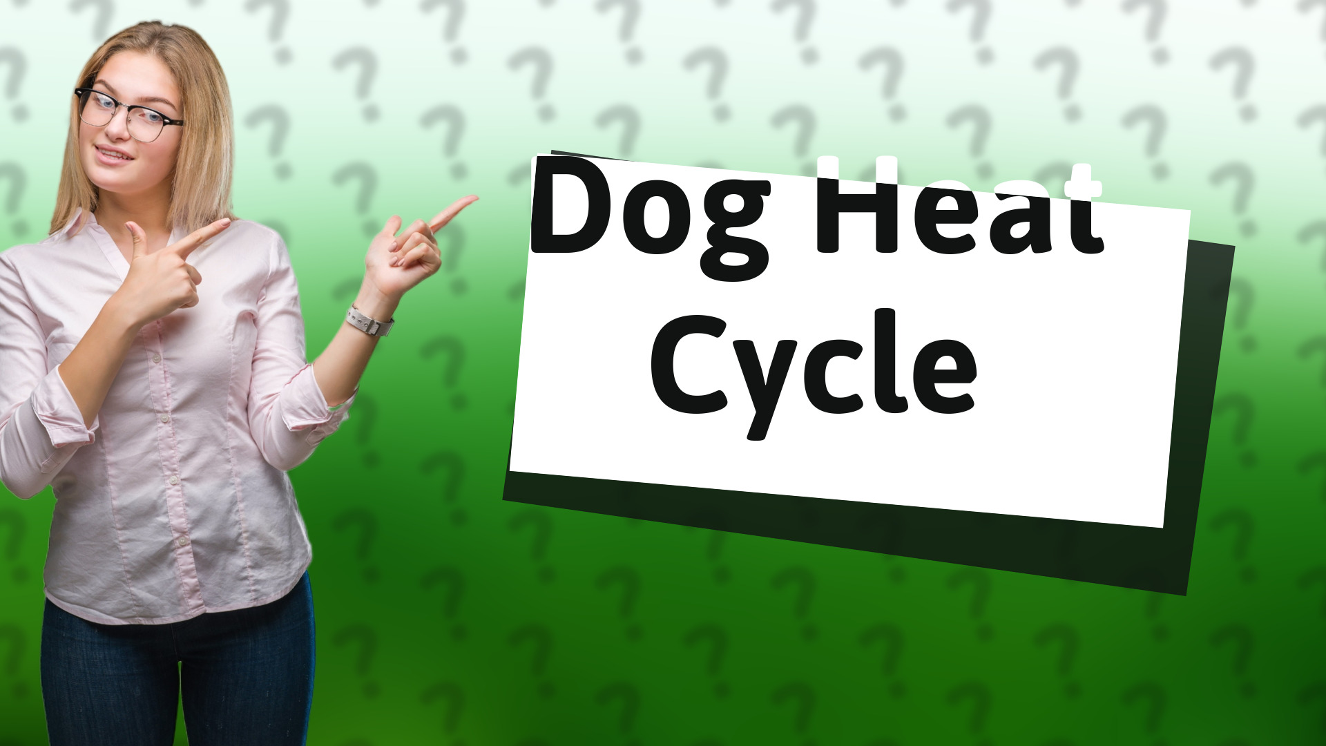 Dog Heat Cycle