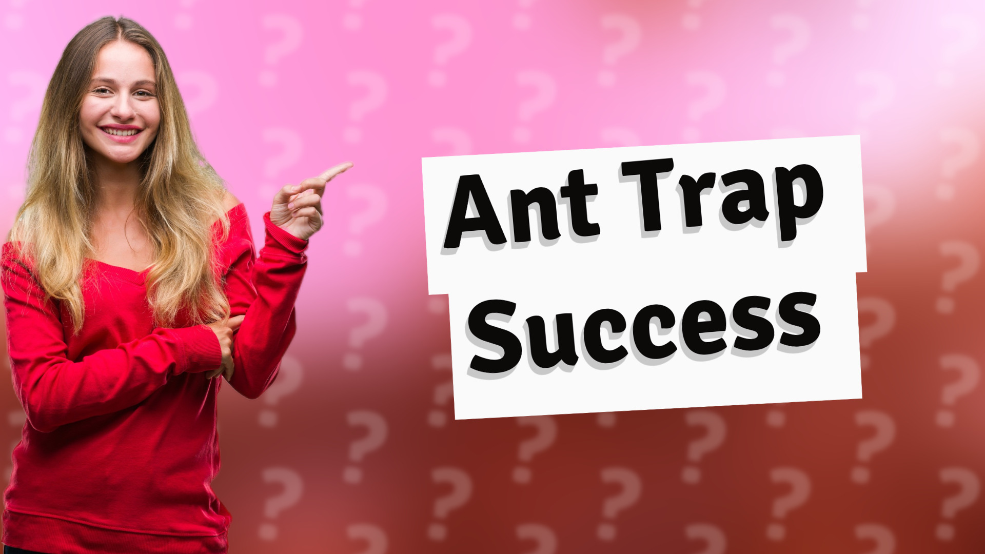 Ant Trap Success