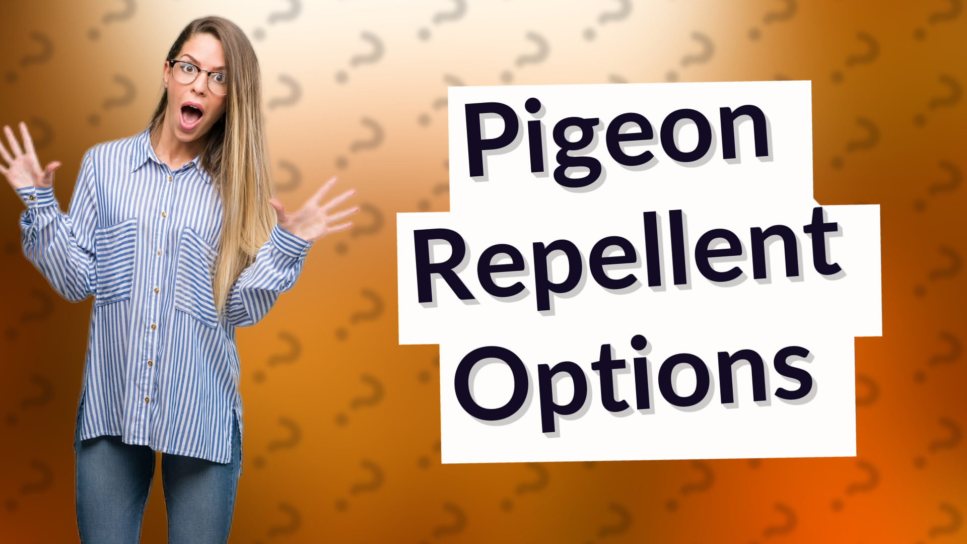 Pigeon Repellent Options