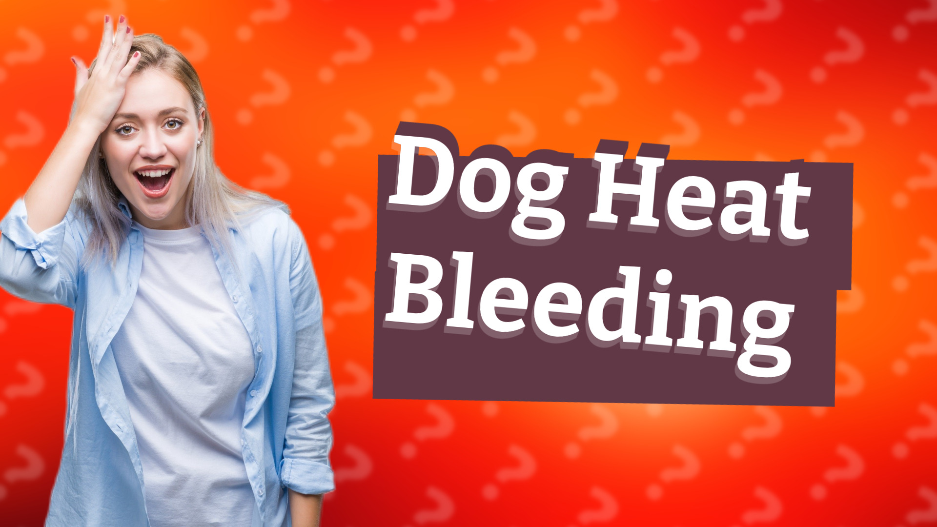 Dog Heat Bleeding