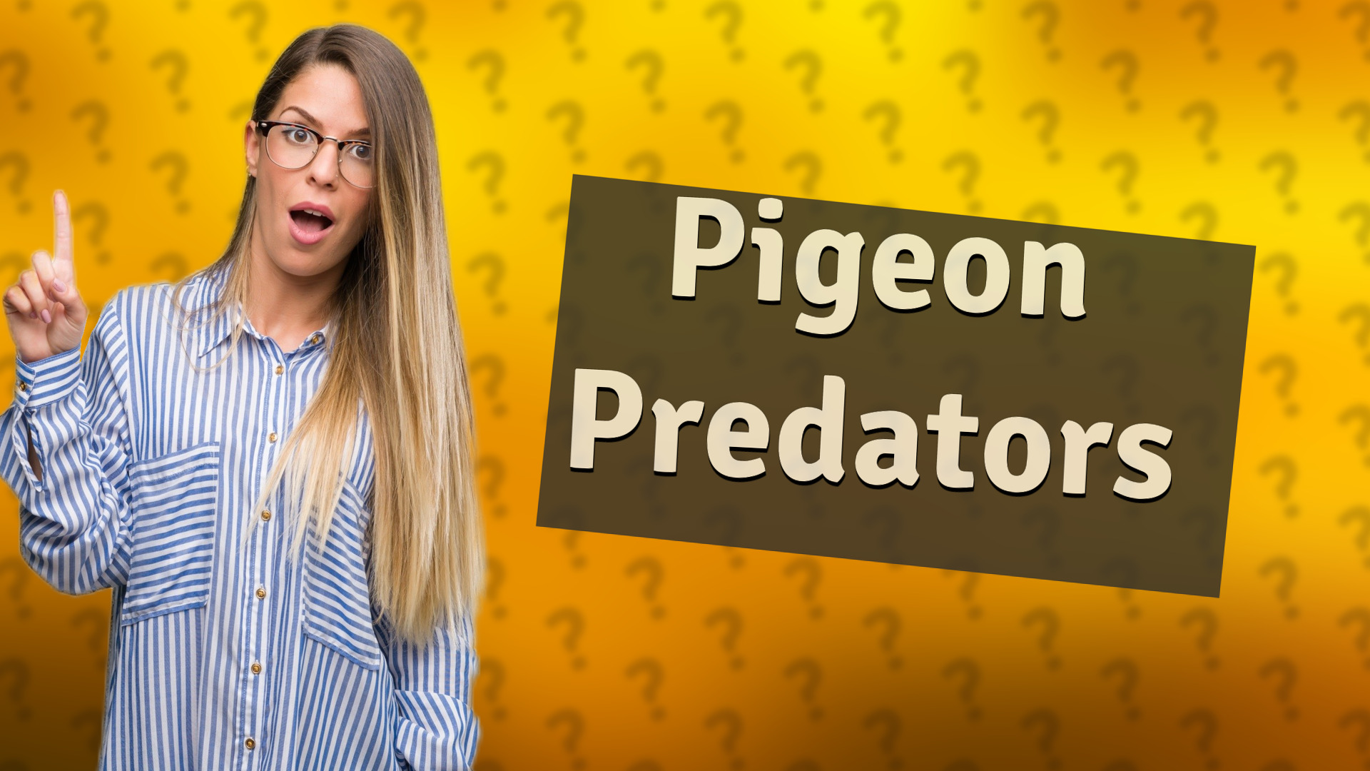 Pigeon Predators