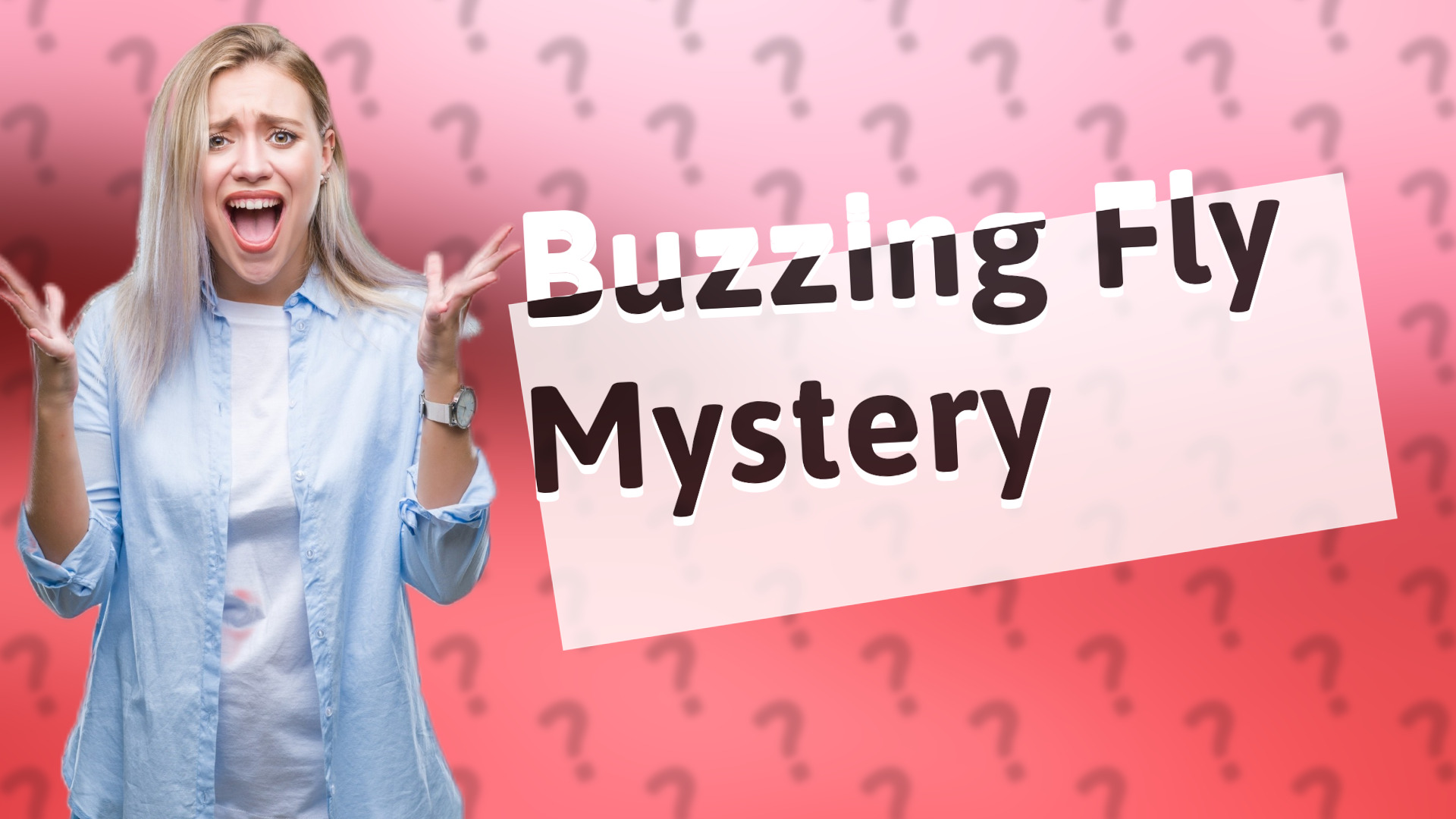 Buzzing Fly Mystery