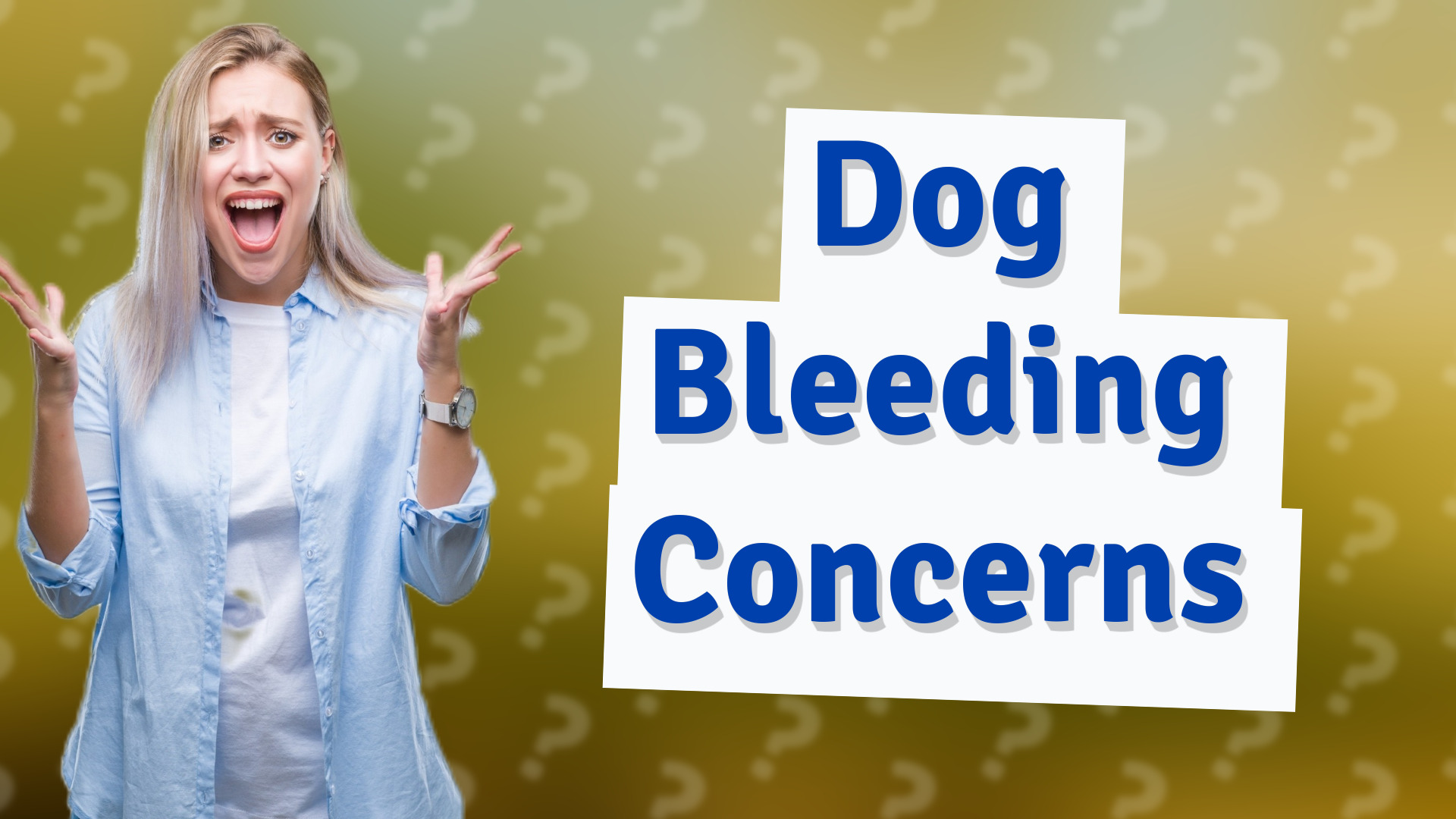 Dog Bleeding Concerns