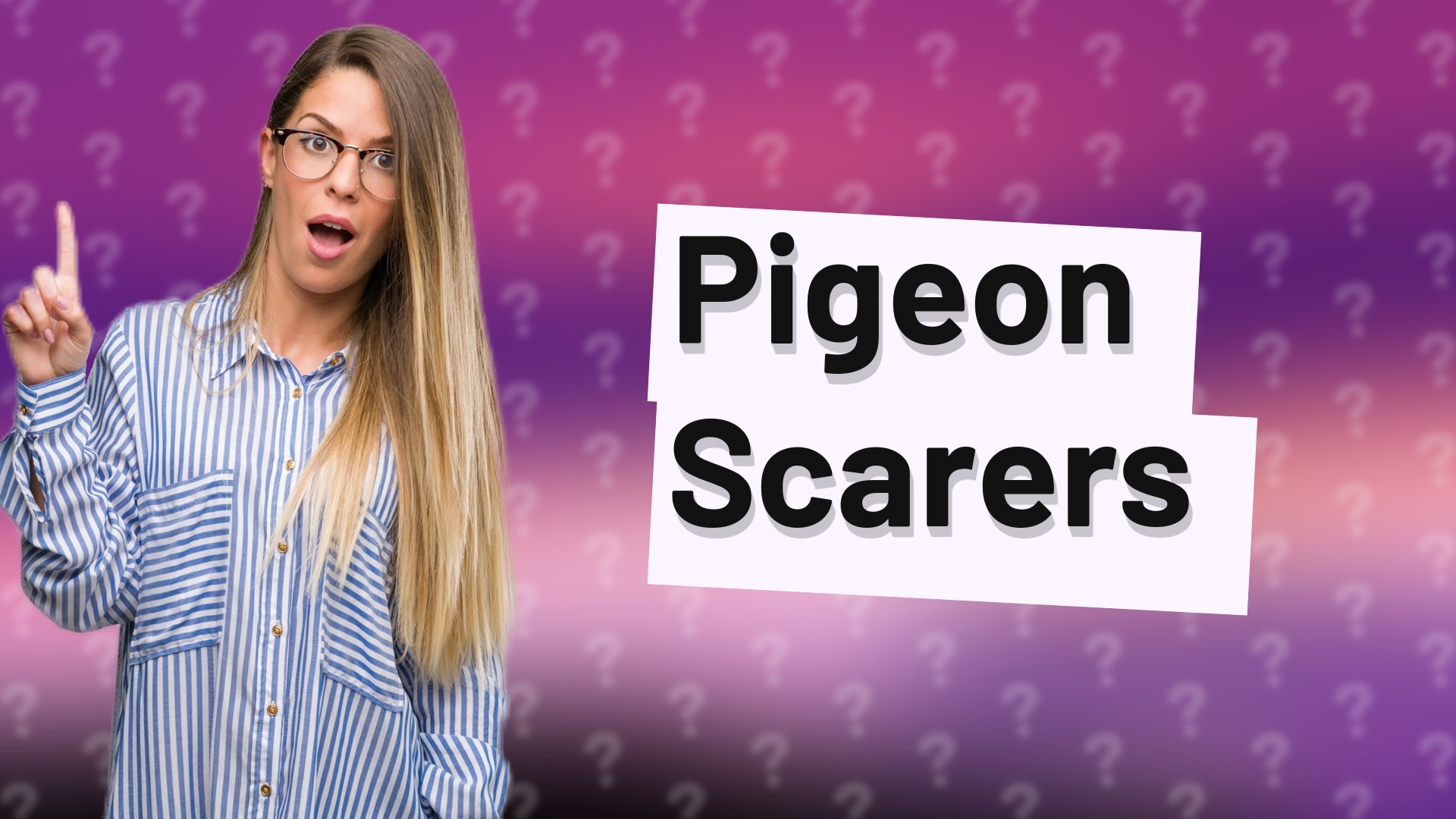 Pigeon Scarers