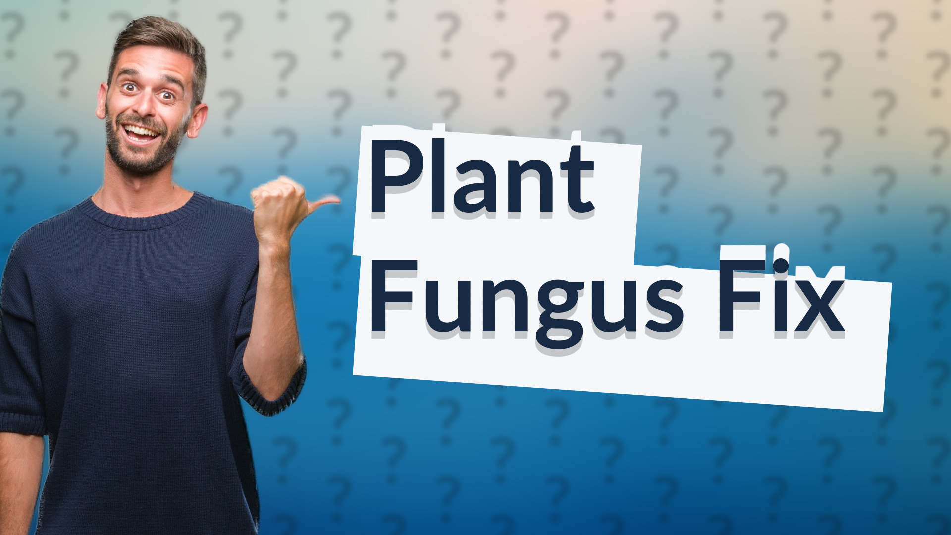 Plant Fungus Fix