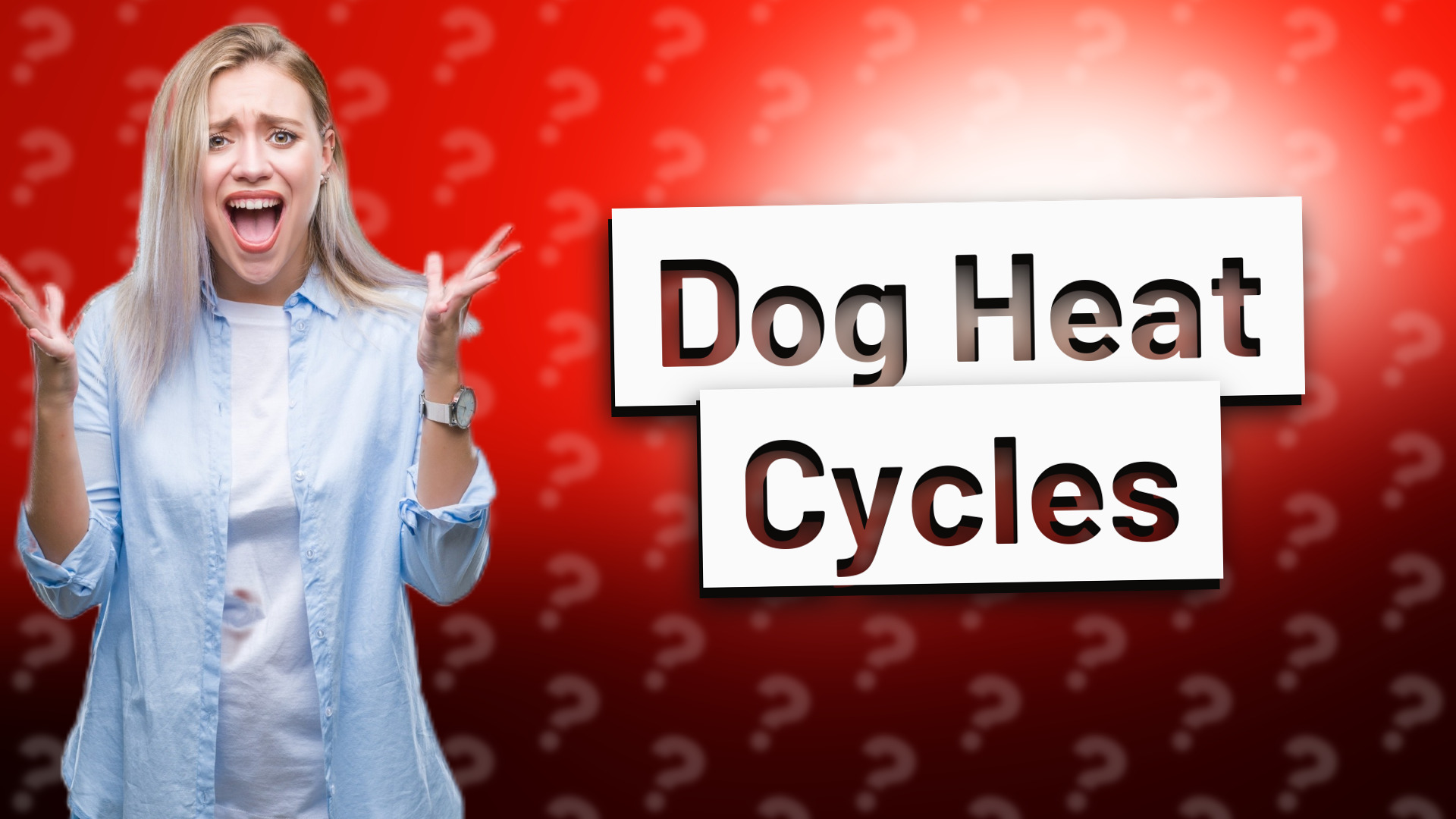 Dog Heat Cycles