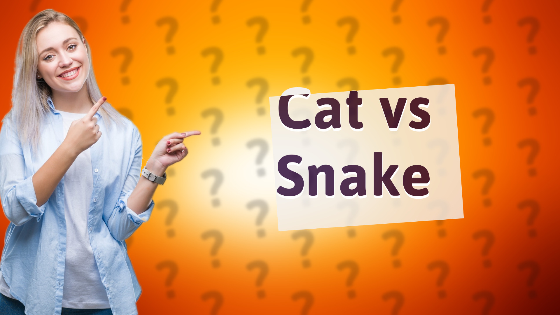 Cat vs Snake